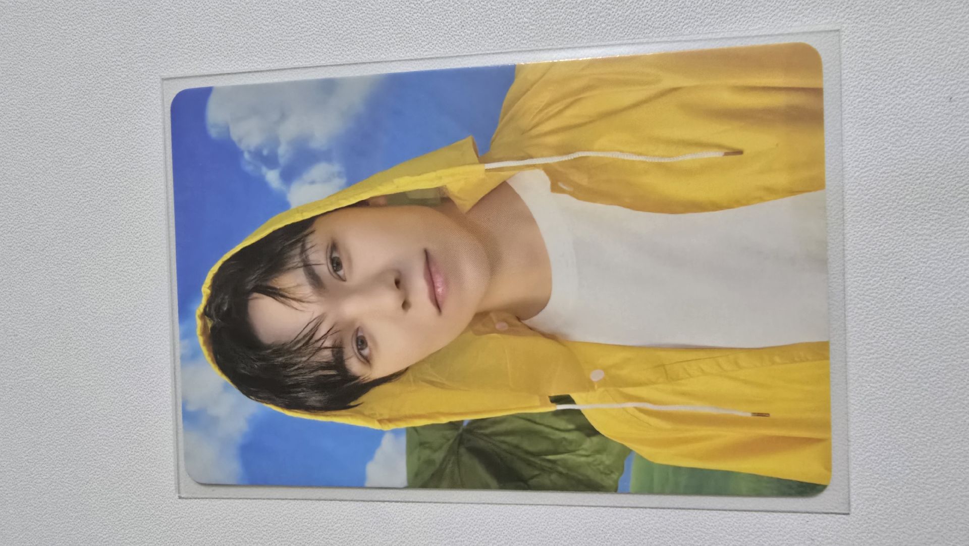 率 迷11雨衣 崔啵噥 Vernon