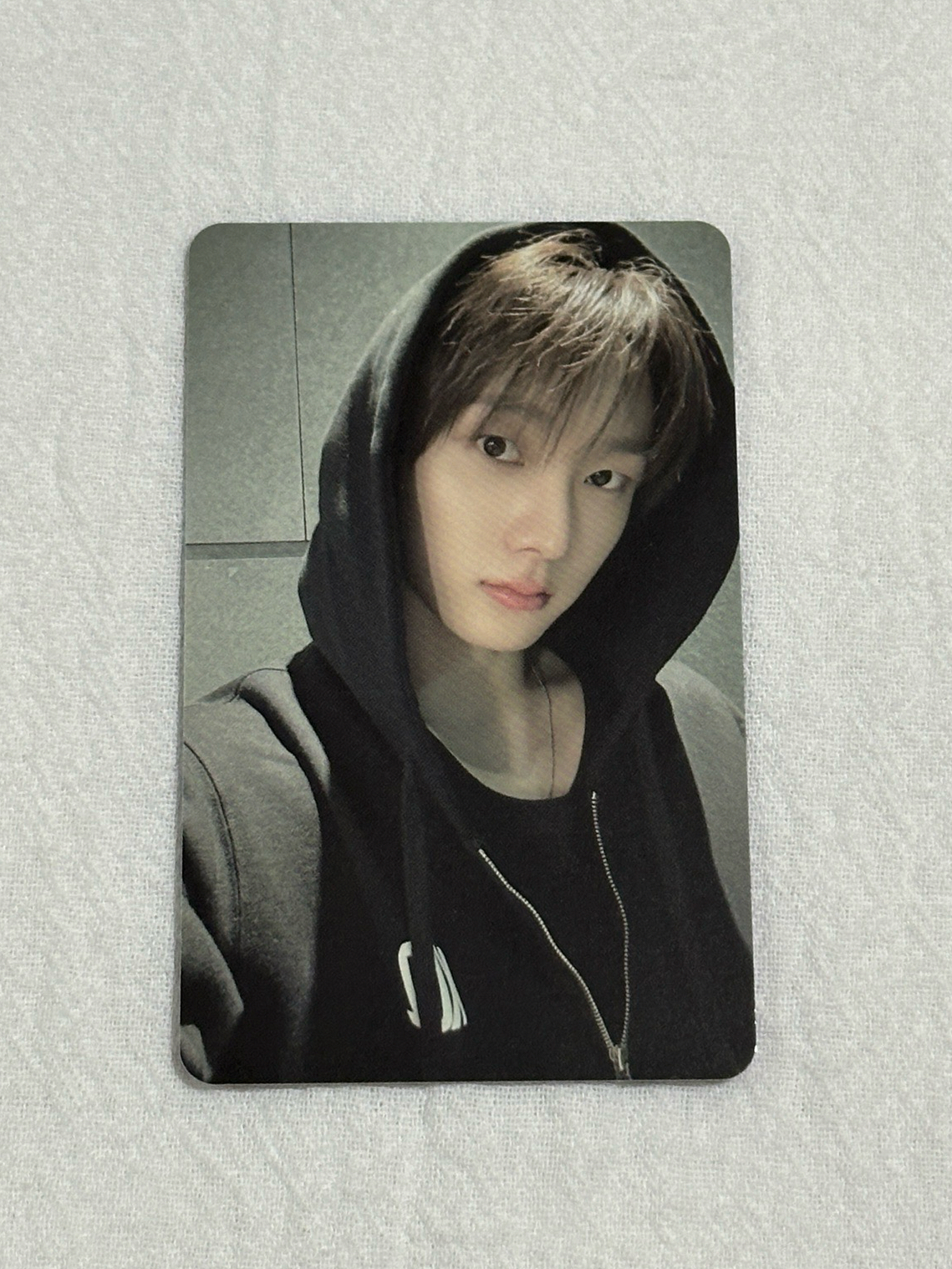 朴成淏MALD 耶比✌️