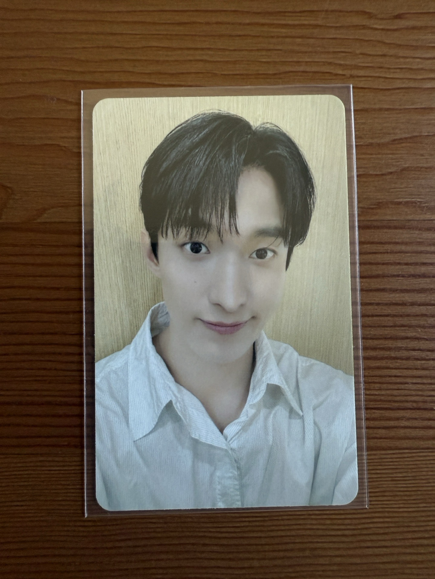 正五集章卡 DK 碩