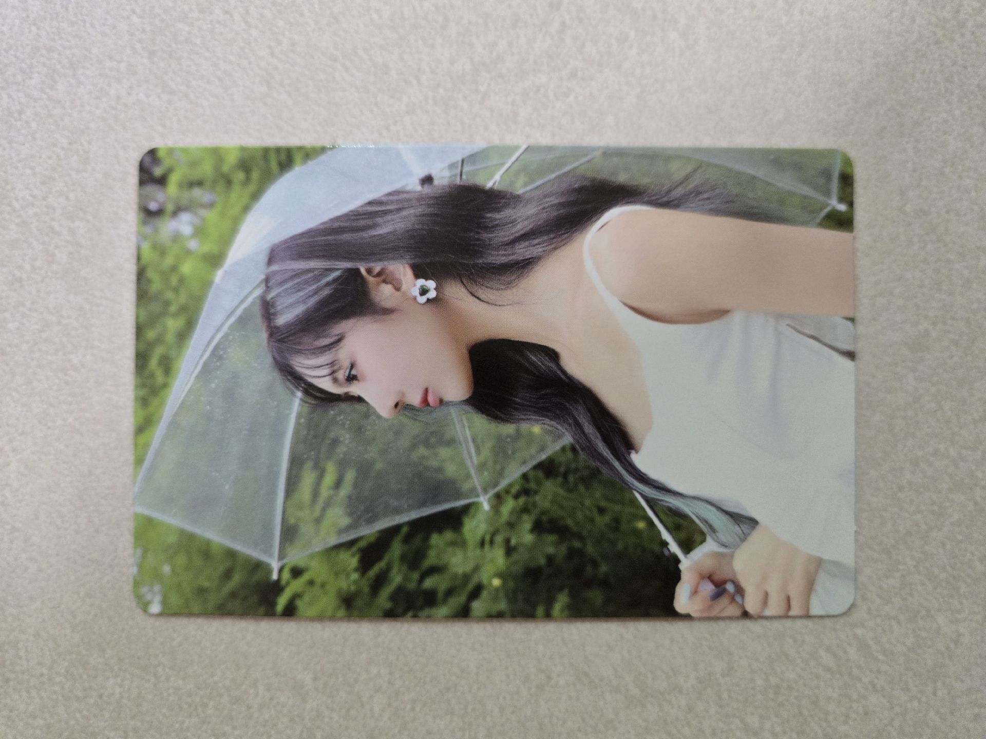 迷七 賢 普專專卡