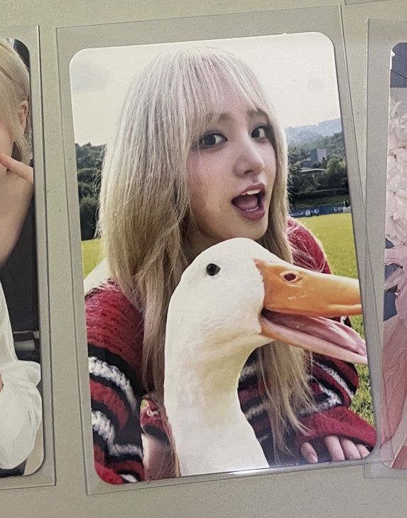 I'VE MINE sw2.0 幸運卡 Liz 大鵝栗