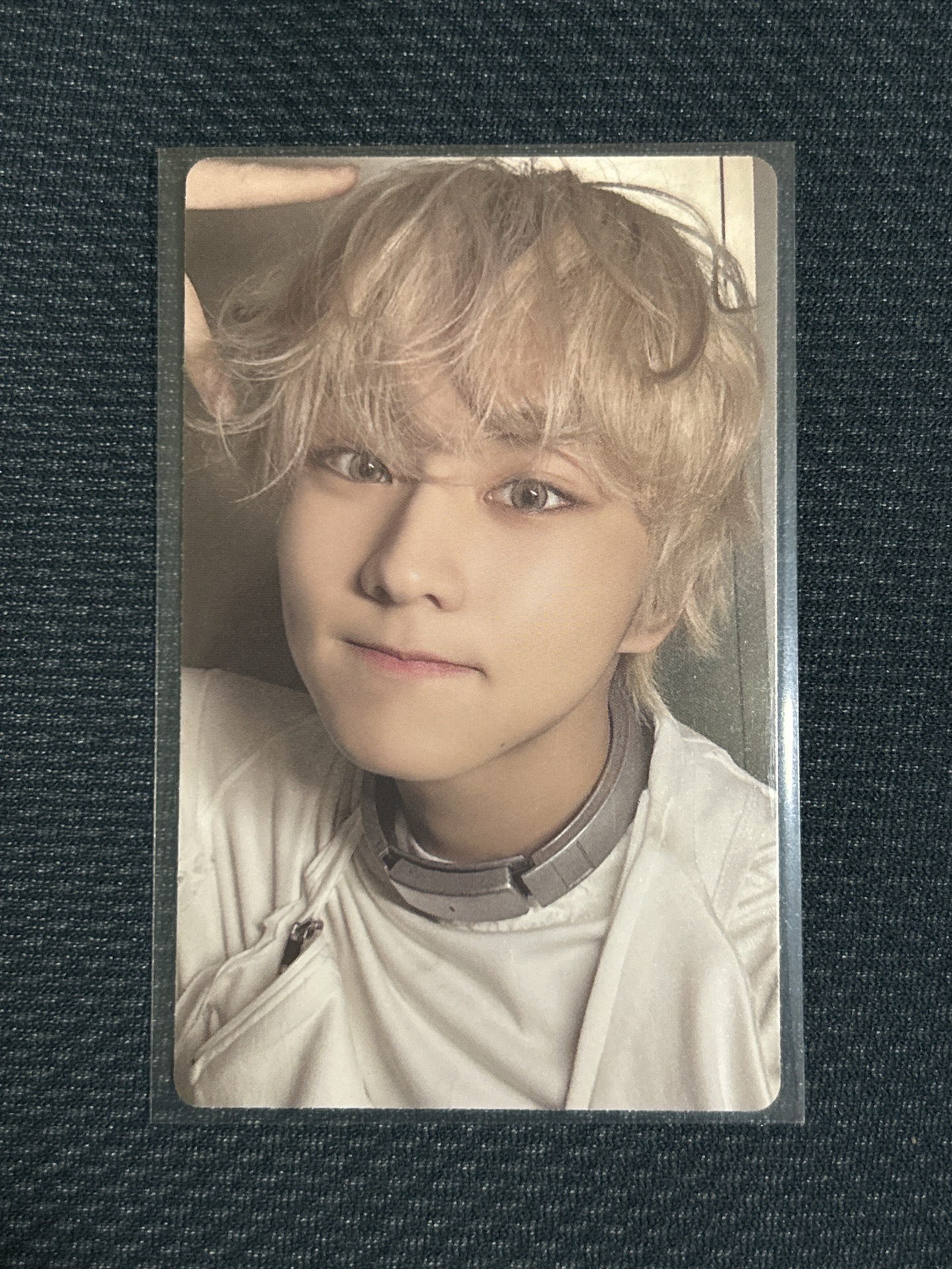 迷六 電子專 專輯卡｜禎元