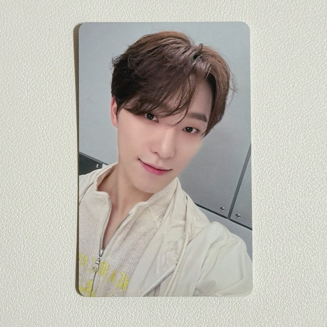 SEVENTEEN 消費期限 wvs 大阪場限卡/燦