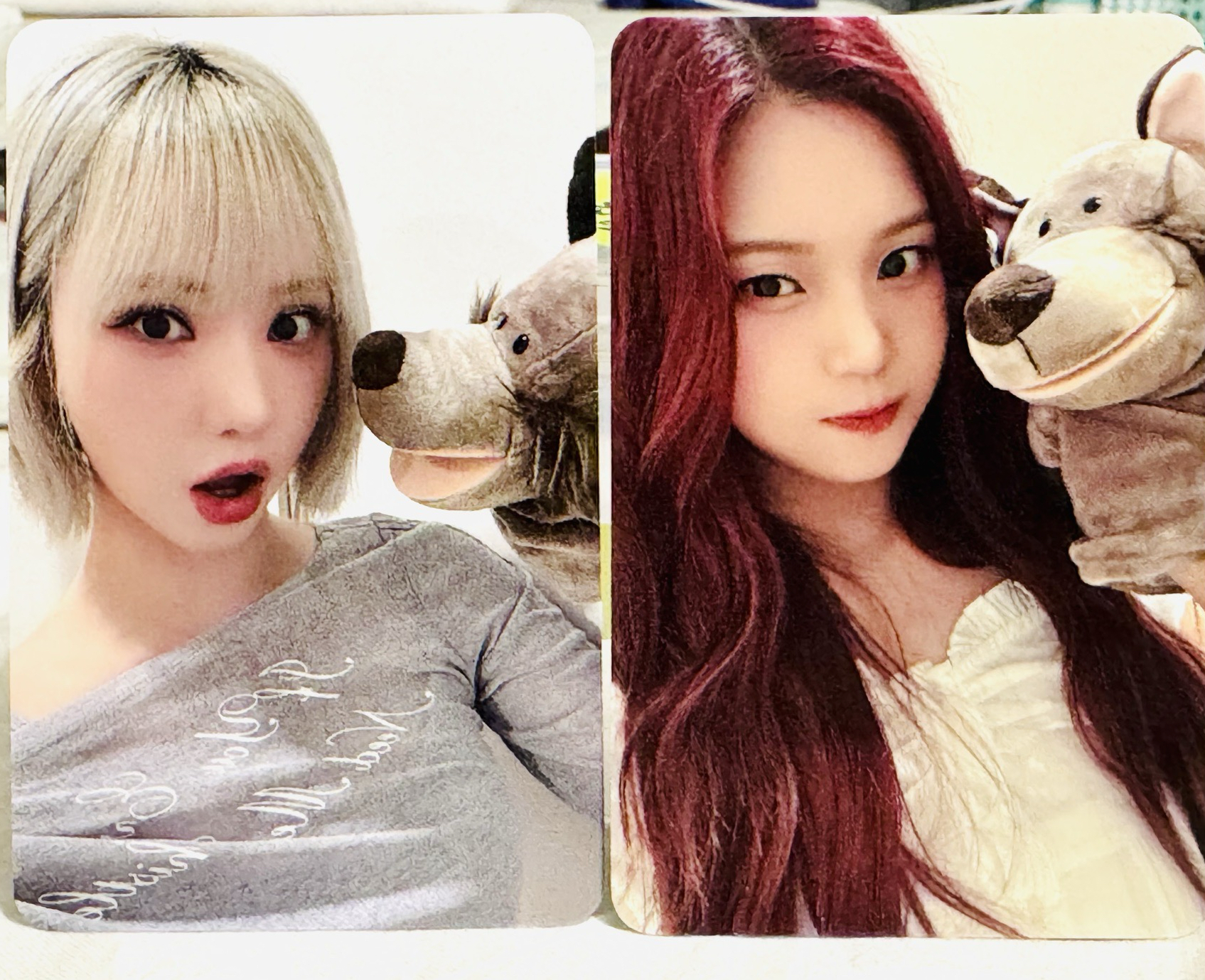 【現貨】EL大野狼特典 (智可單出)