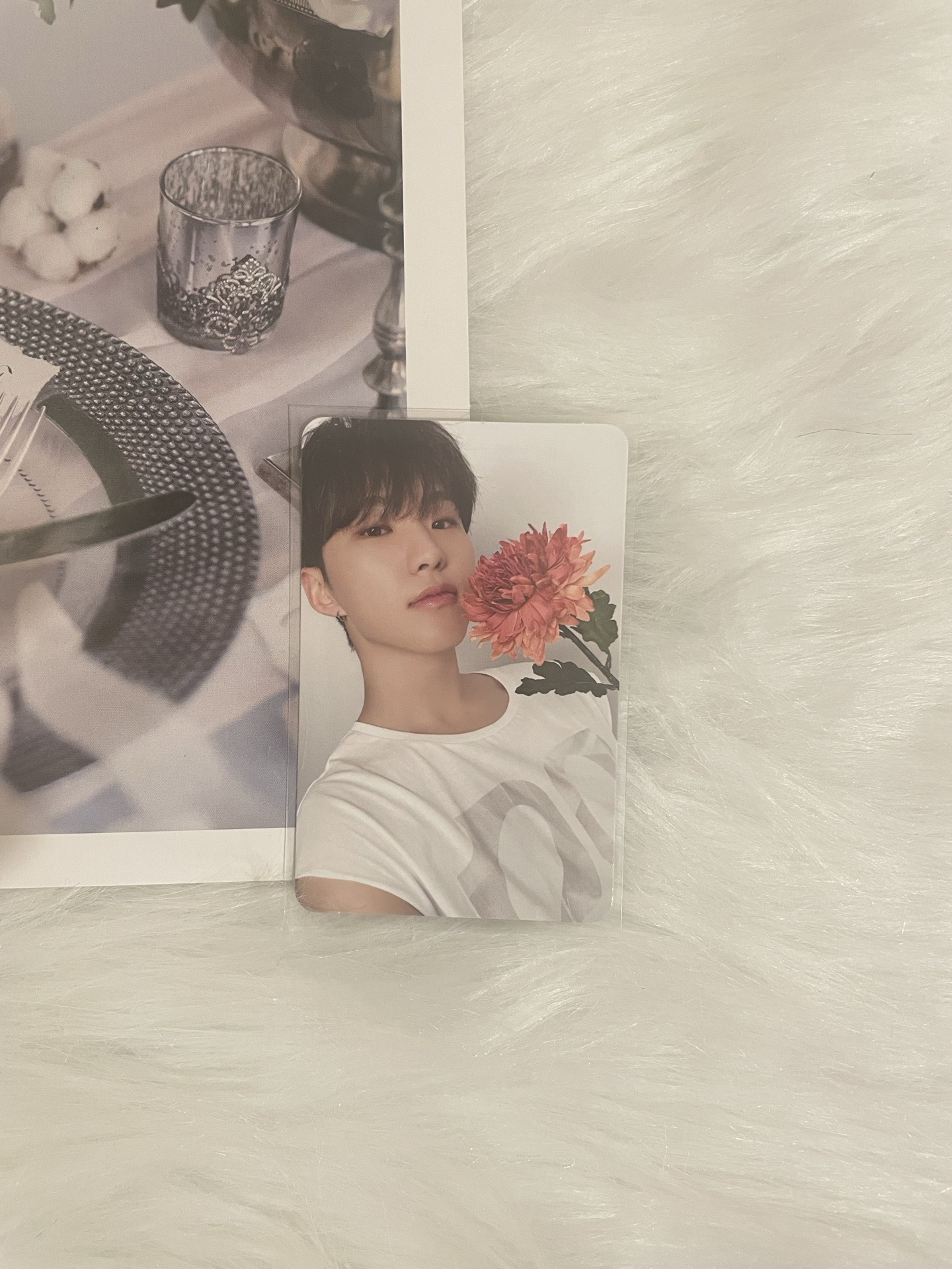 【SVT】精選專 克拉盤 專輯卡 Hoshi