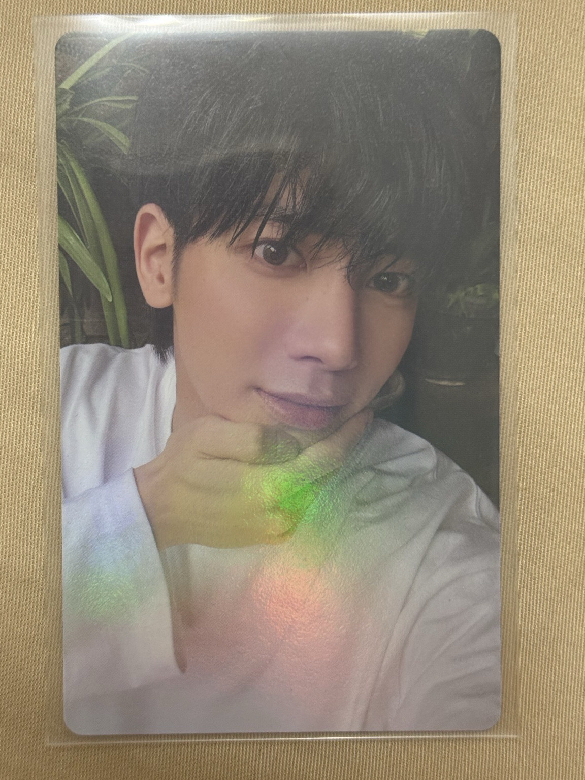 迷七wvs單封特典 顯