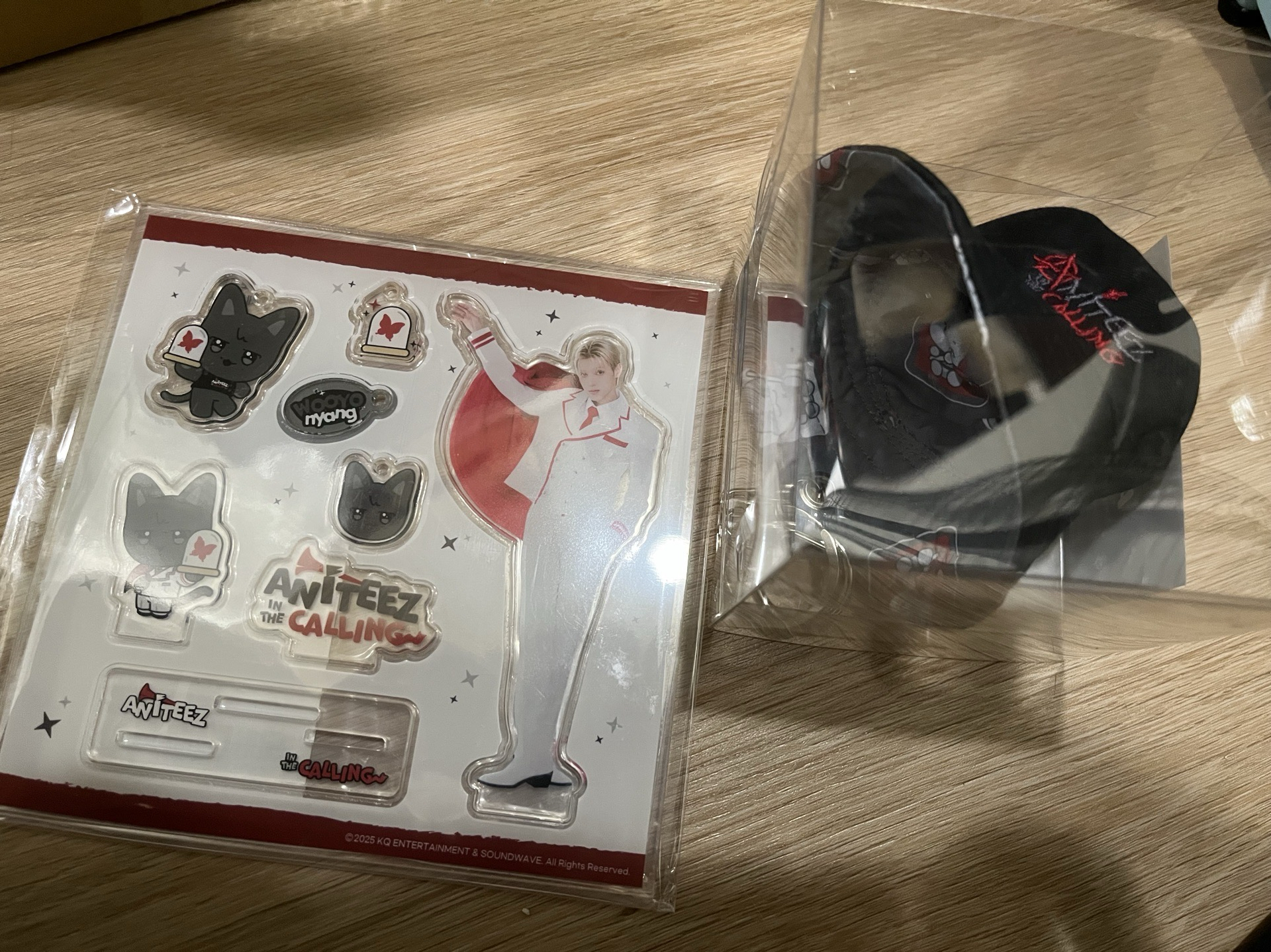 ANITEEZ IN THE CALLING 線下店