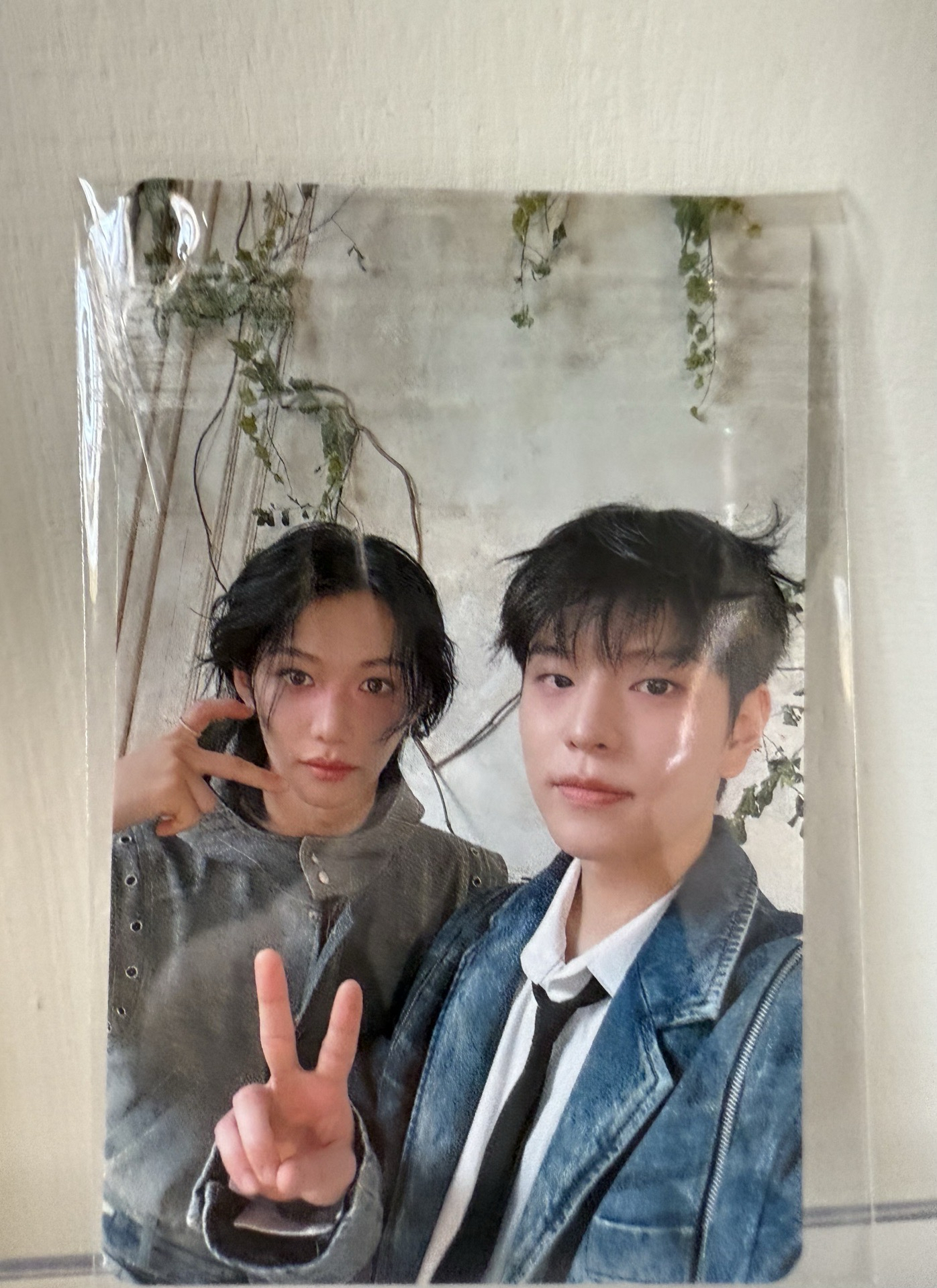 Stray Kids小卡 二手 全新