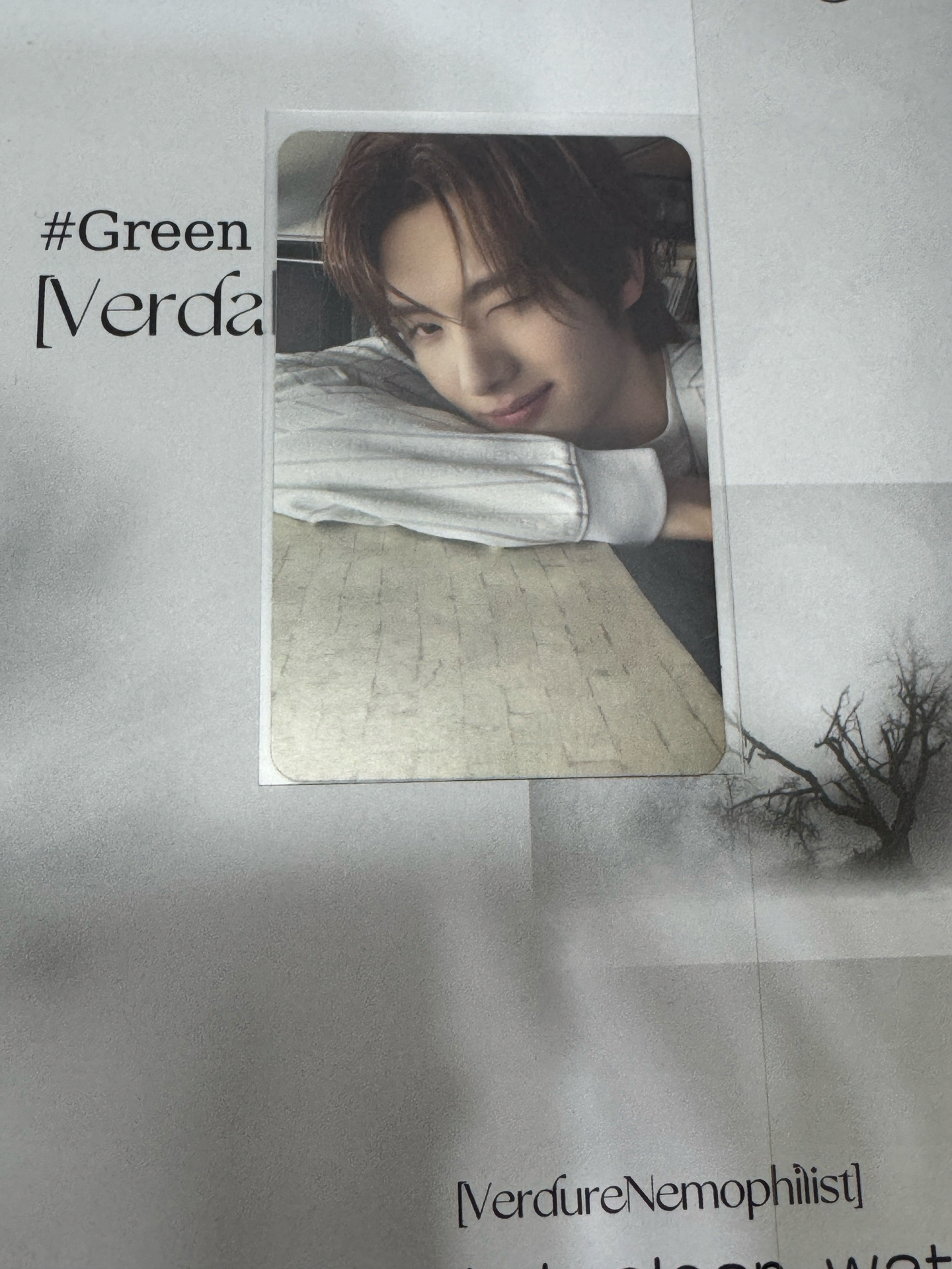 TRY WITH US 單封卡-英宰