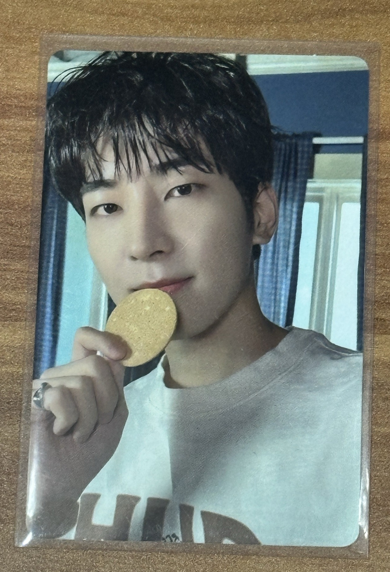 圓 迷10 專卡 餅乾圓