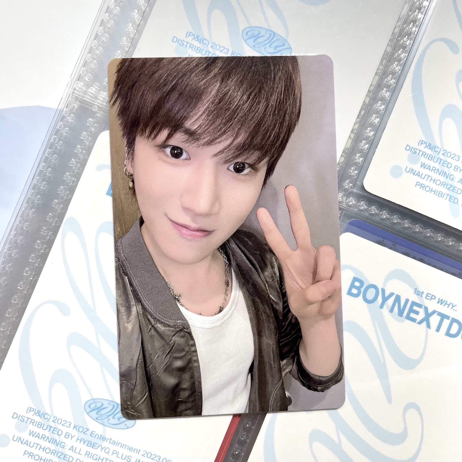 李常赫wvs lolla芝加哥直播卡