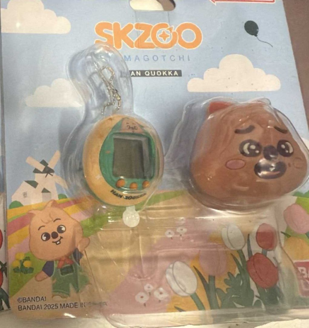 韓知城 闊卡電子雞