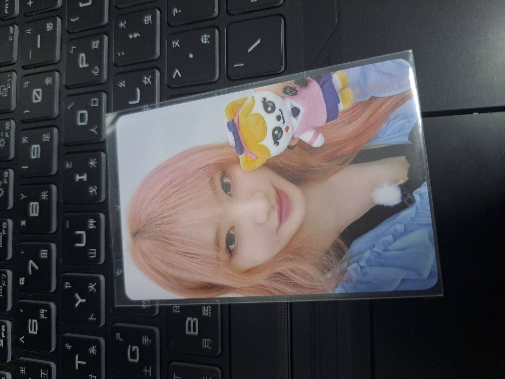 lve minive 上海滿額栗