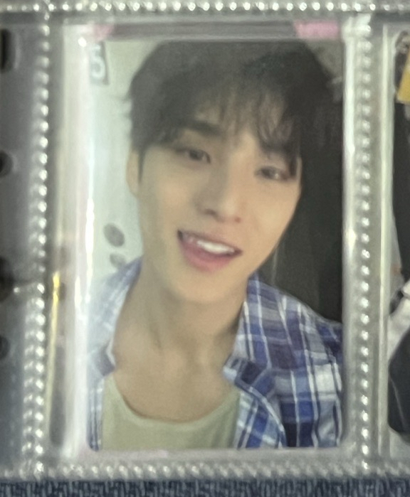 wvs ld 整盤$1150 ❗️請勿直接下單