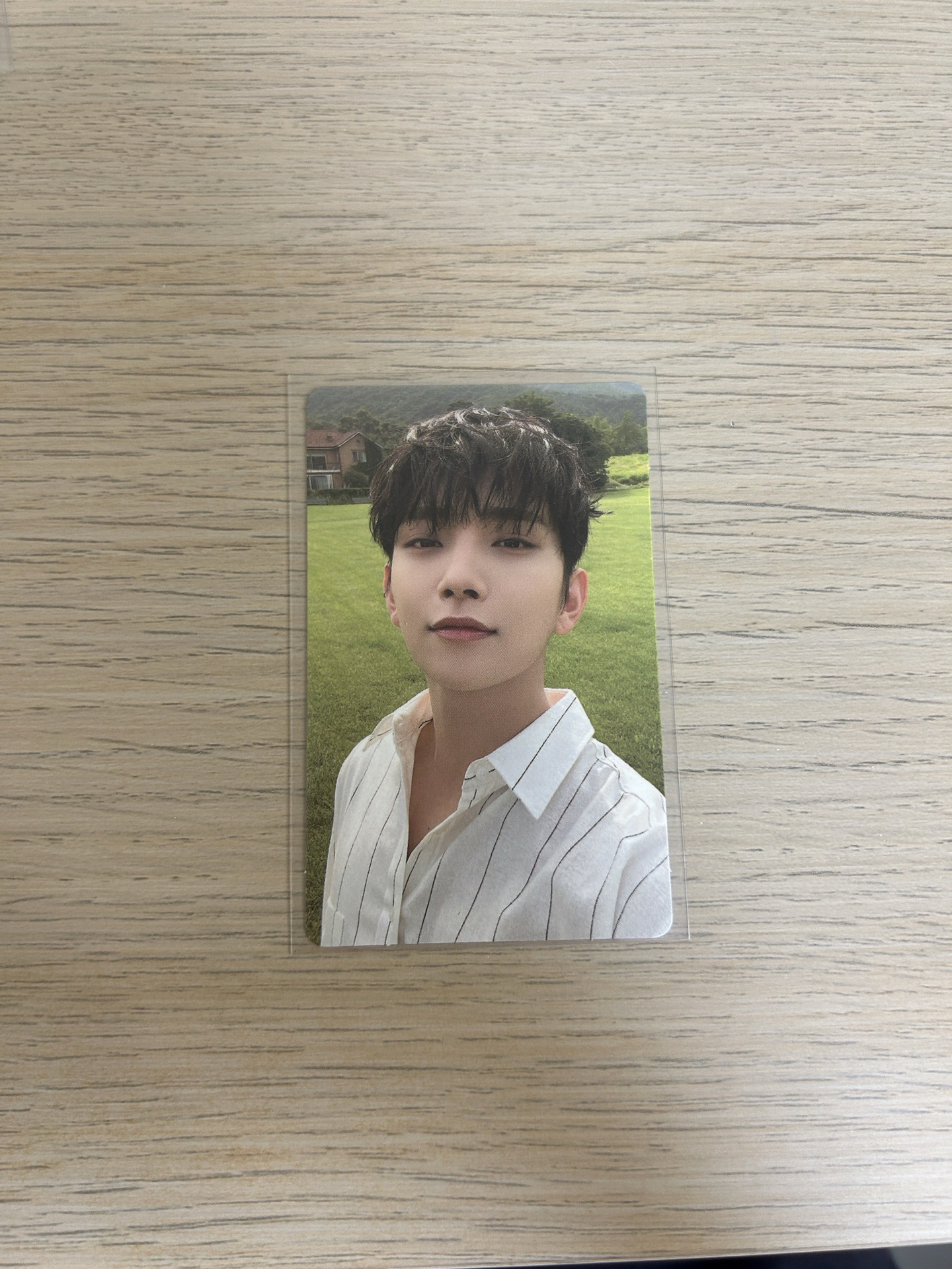 洪知秀 social club 襯衫 小卡