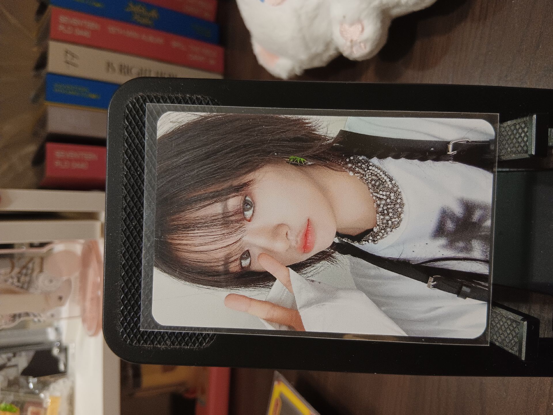 楠藝1.0特典中背