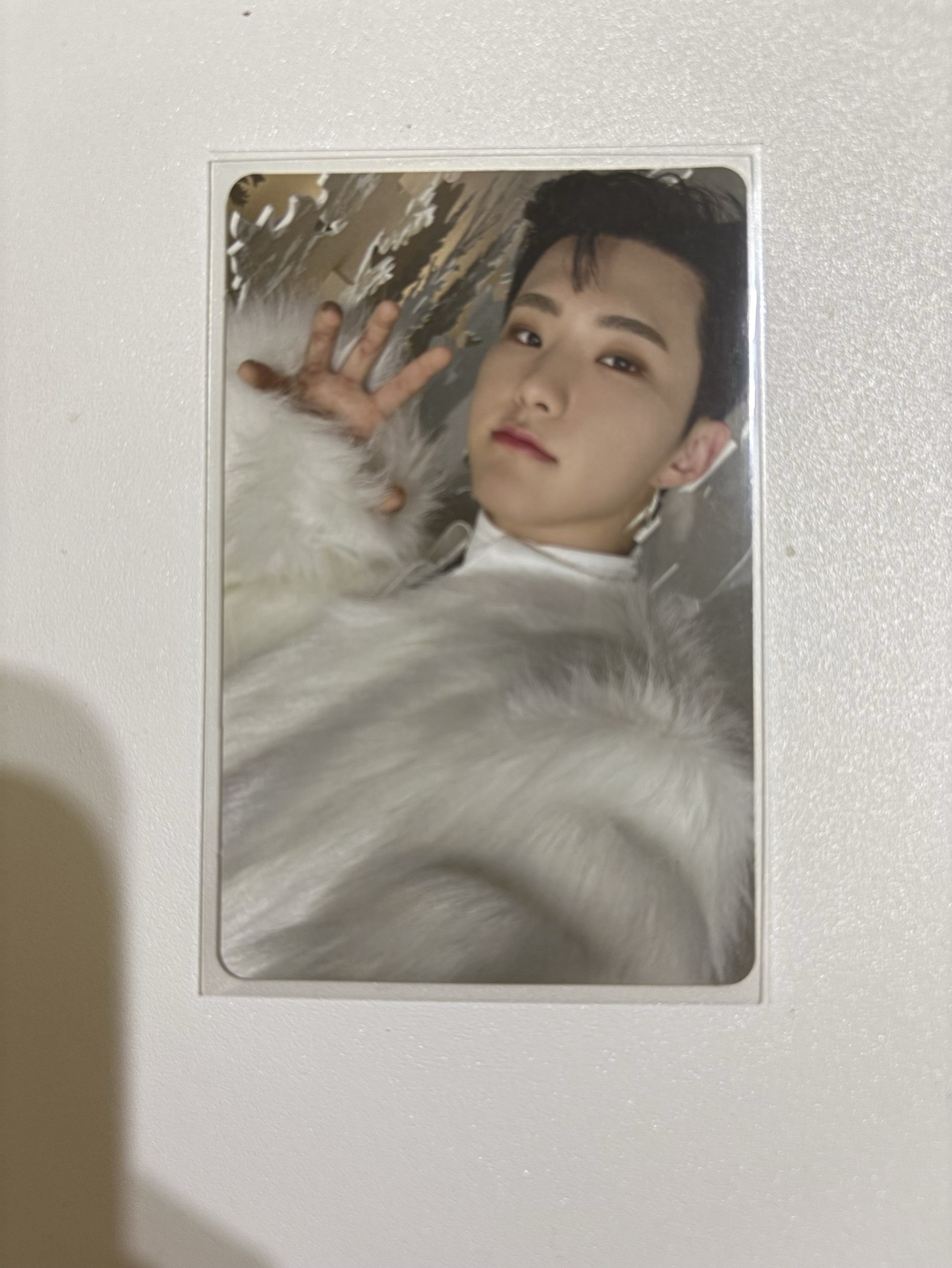 愛之力 POL 限定盤 順榮 HOSHI 虎爪榮