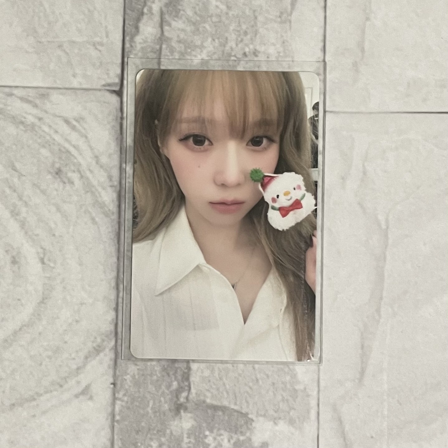 冬 Whiplash 聖誕簽售