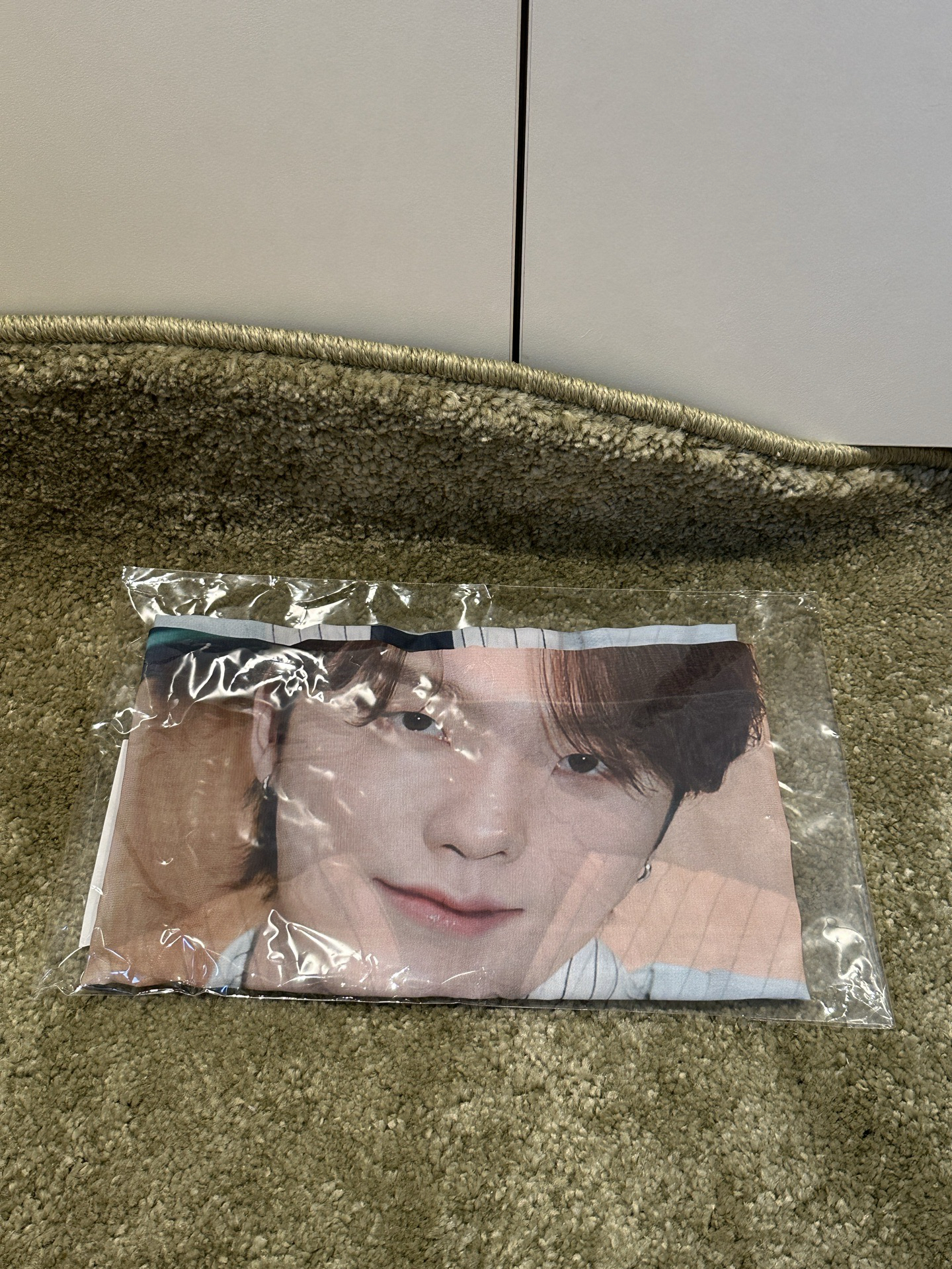 SEVENTEEN Holiday Dino 布海報