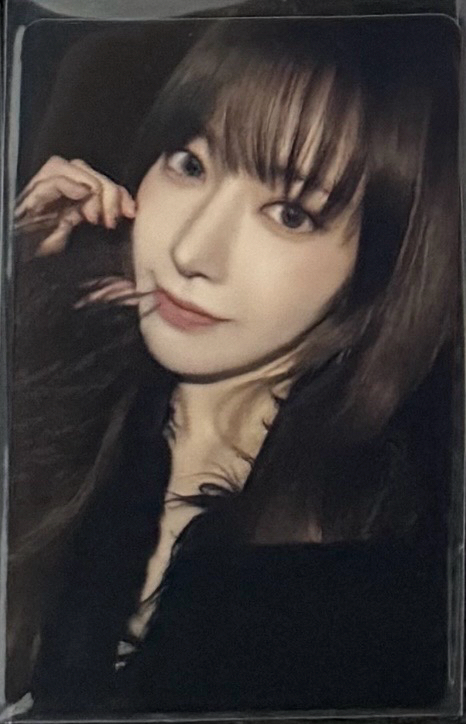 日巡入場櫻⭕️