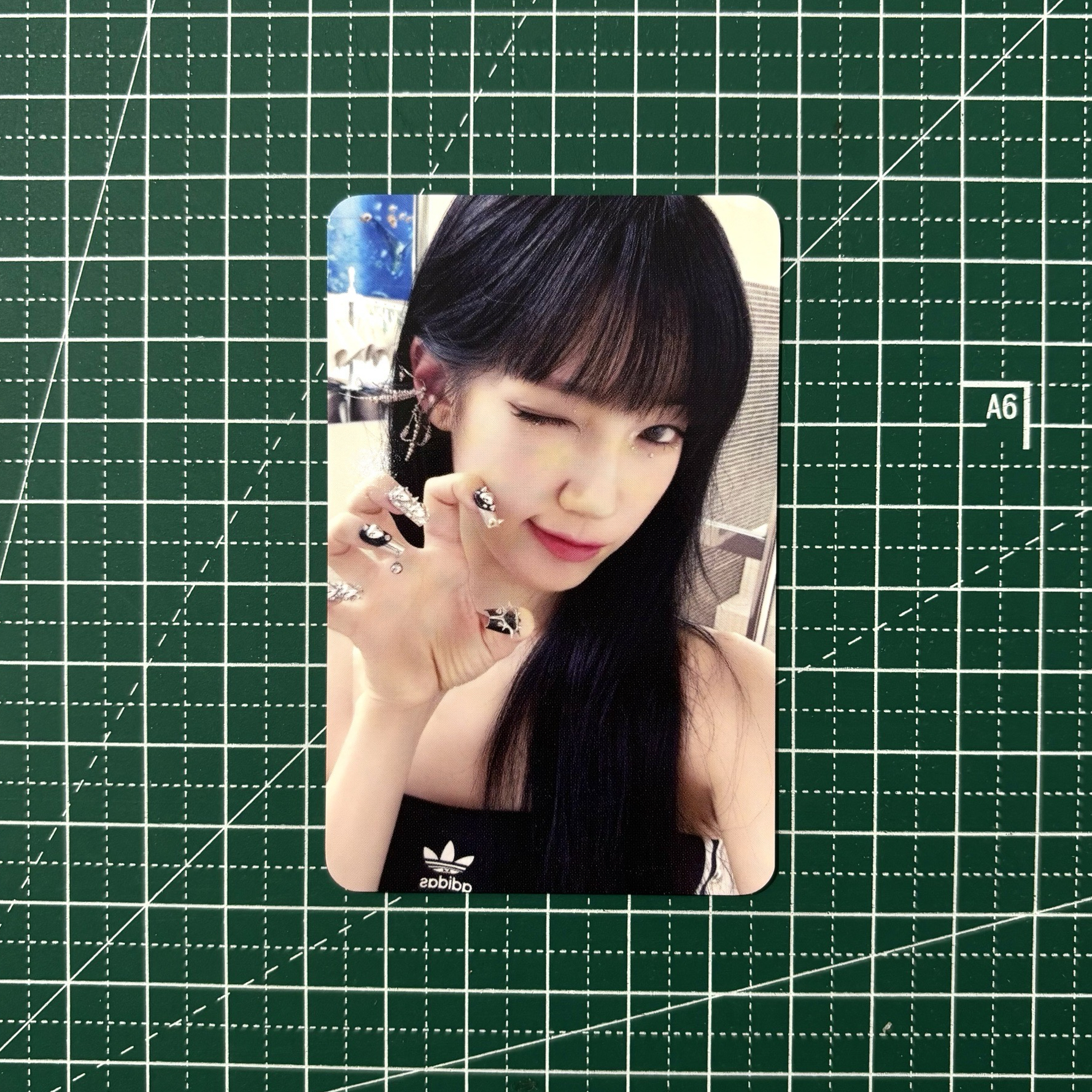 𓊆 瘋狂 wm 1.0 🍃 𓊇