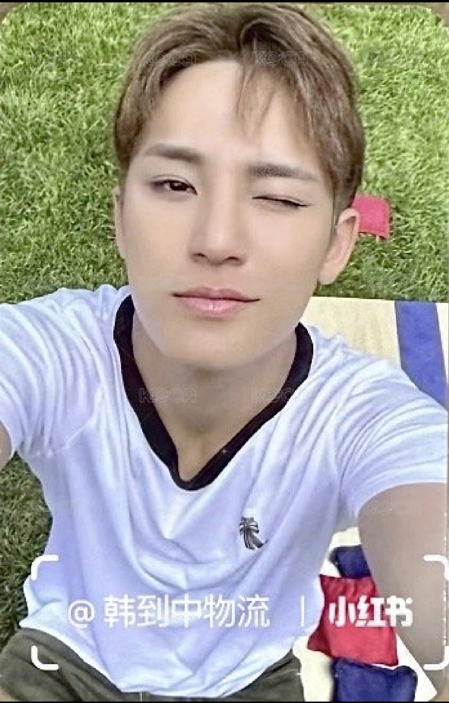 哲奎小分隊GS25特典奎 一卡一專