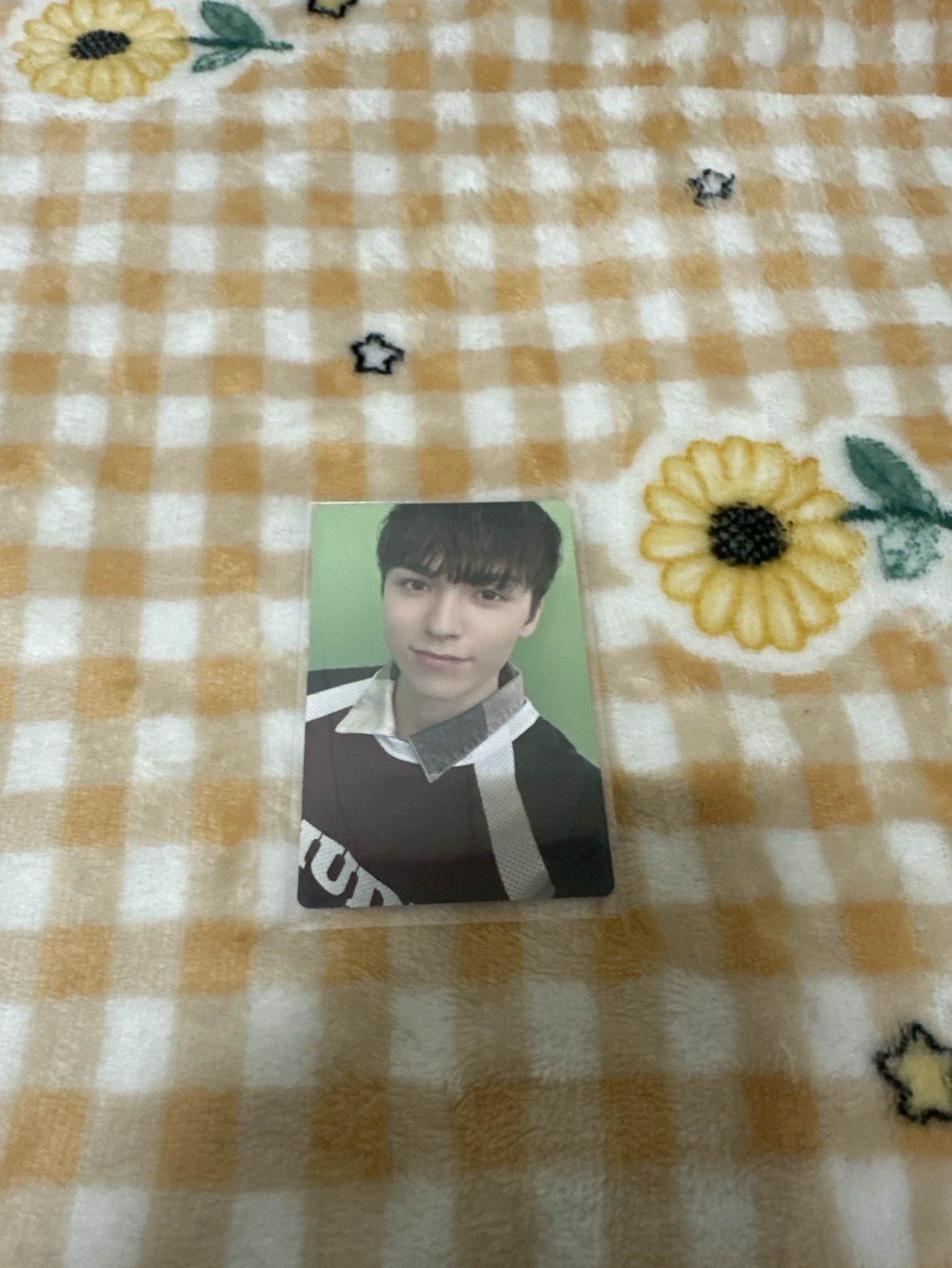 25克拉島 自拍（率）