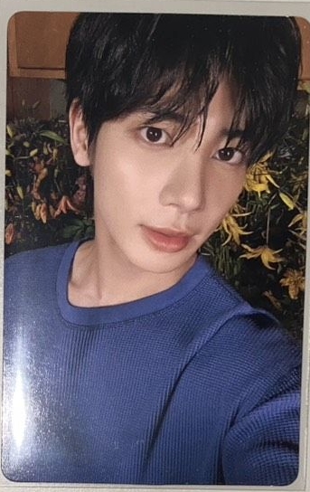 迷七 電子專卡2