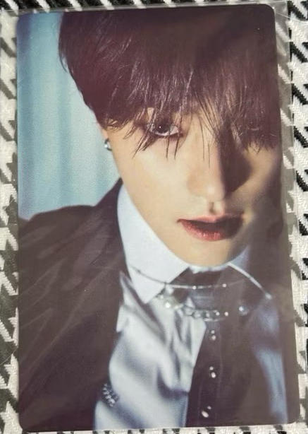 seventeen 日本 小卡 wvsjp 特典卡 attacca 迷九 狼燦 李燦 dino