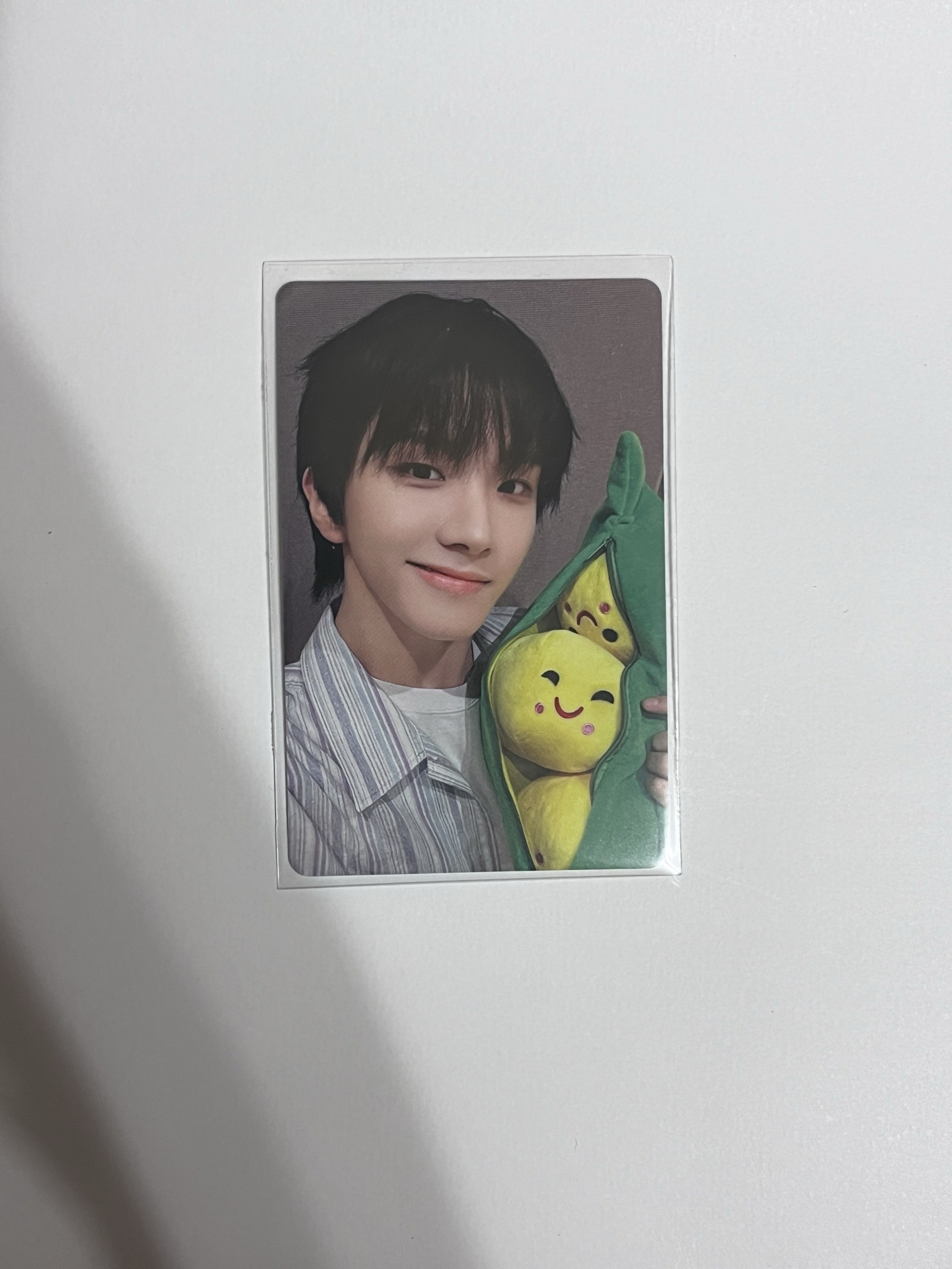 19.99 一直娛豌豆卡 雲鶴