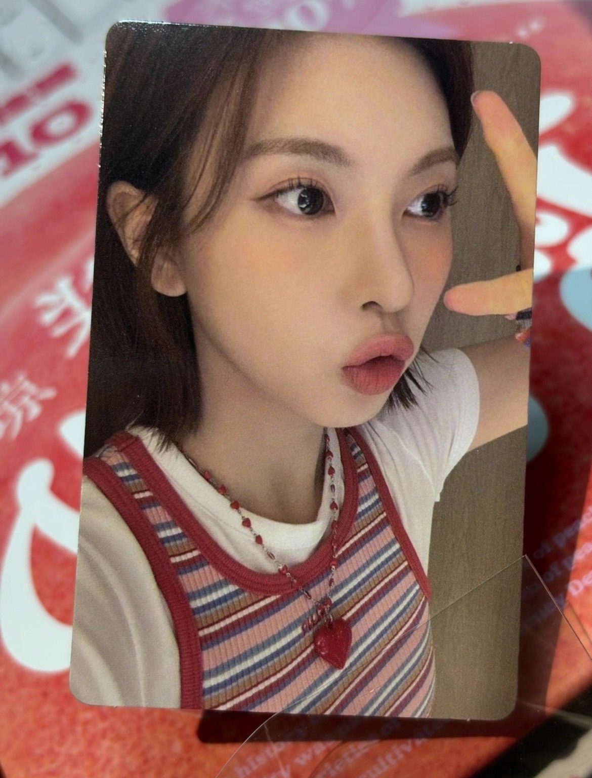 港澳寫真固配裴