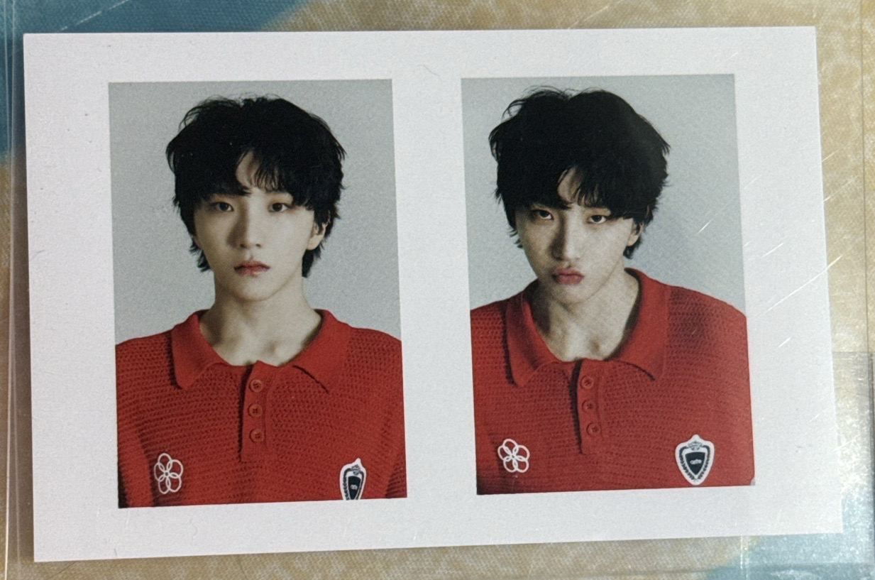 日雜 雲鶴兩格卡