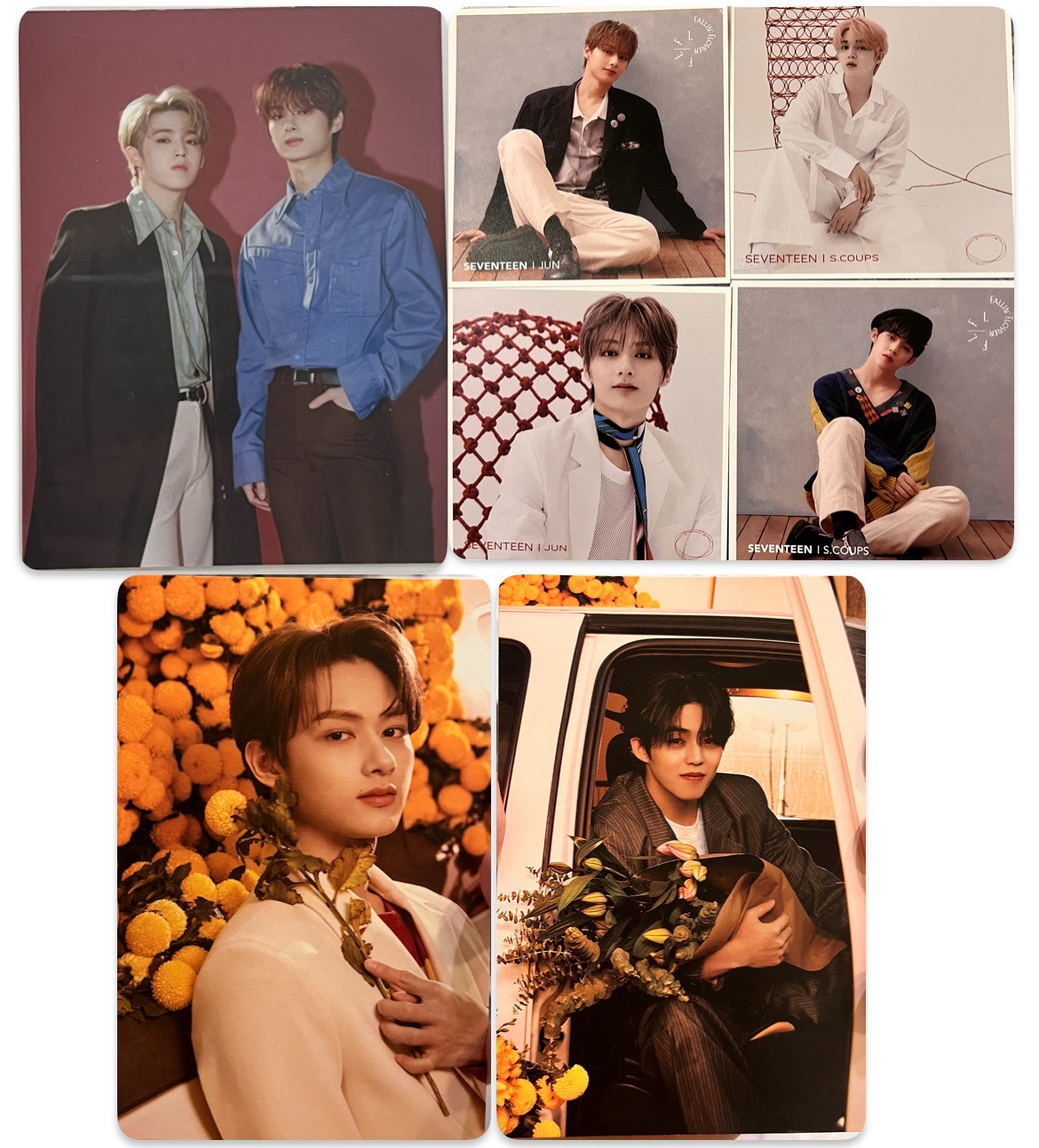 喆俊 明信片 特二、迷八、落花應募