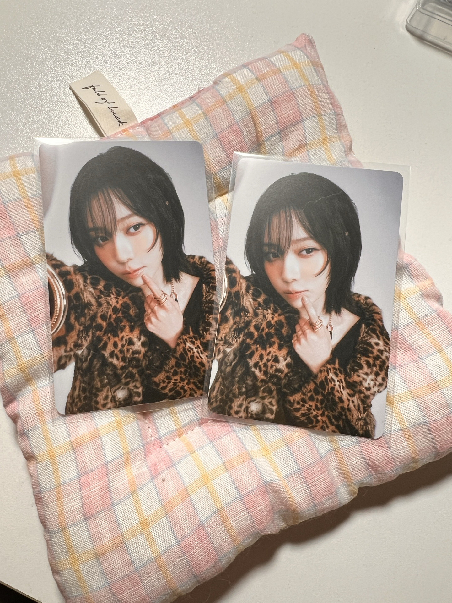 🩷日隨機卡冬2張