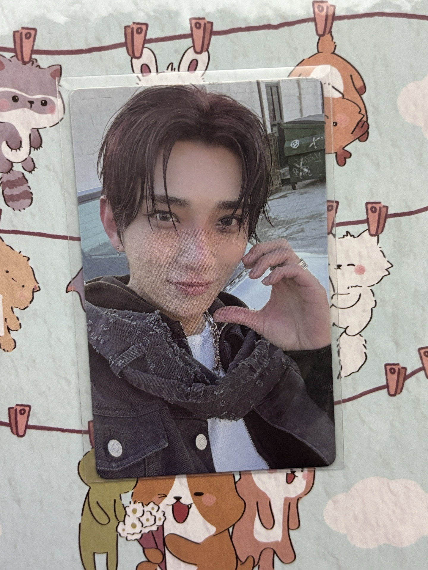 正五 wvs特典卡 秀