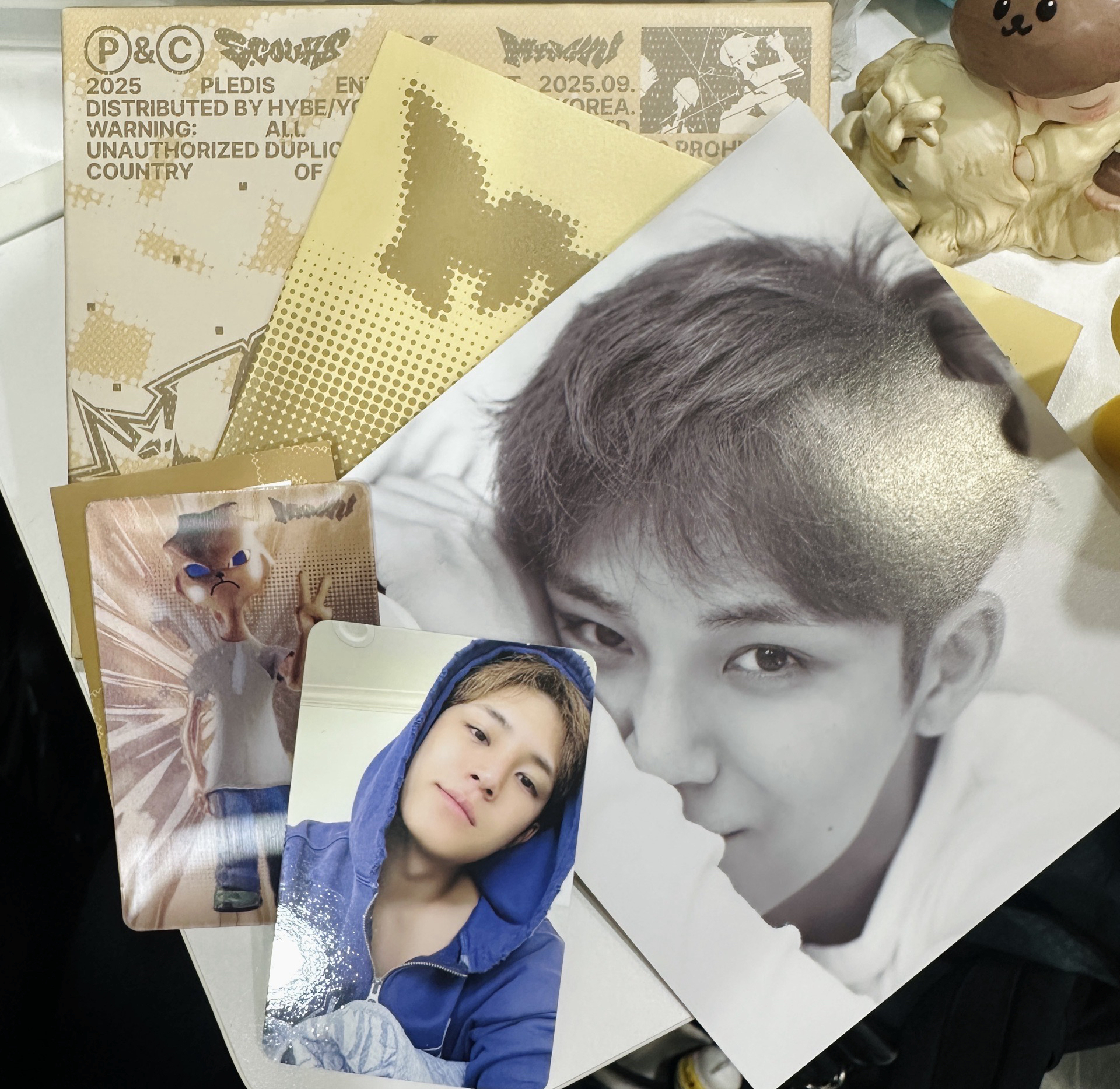 ✨CXM C盤/BUDDY版