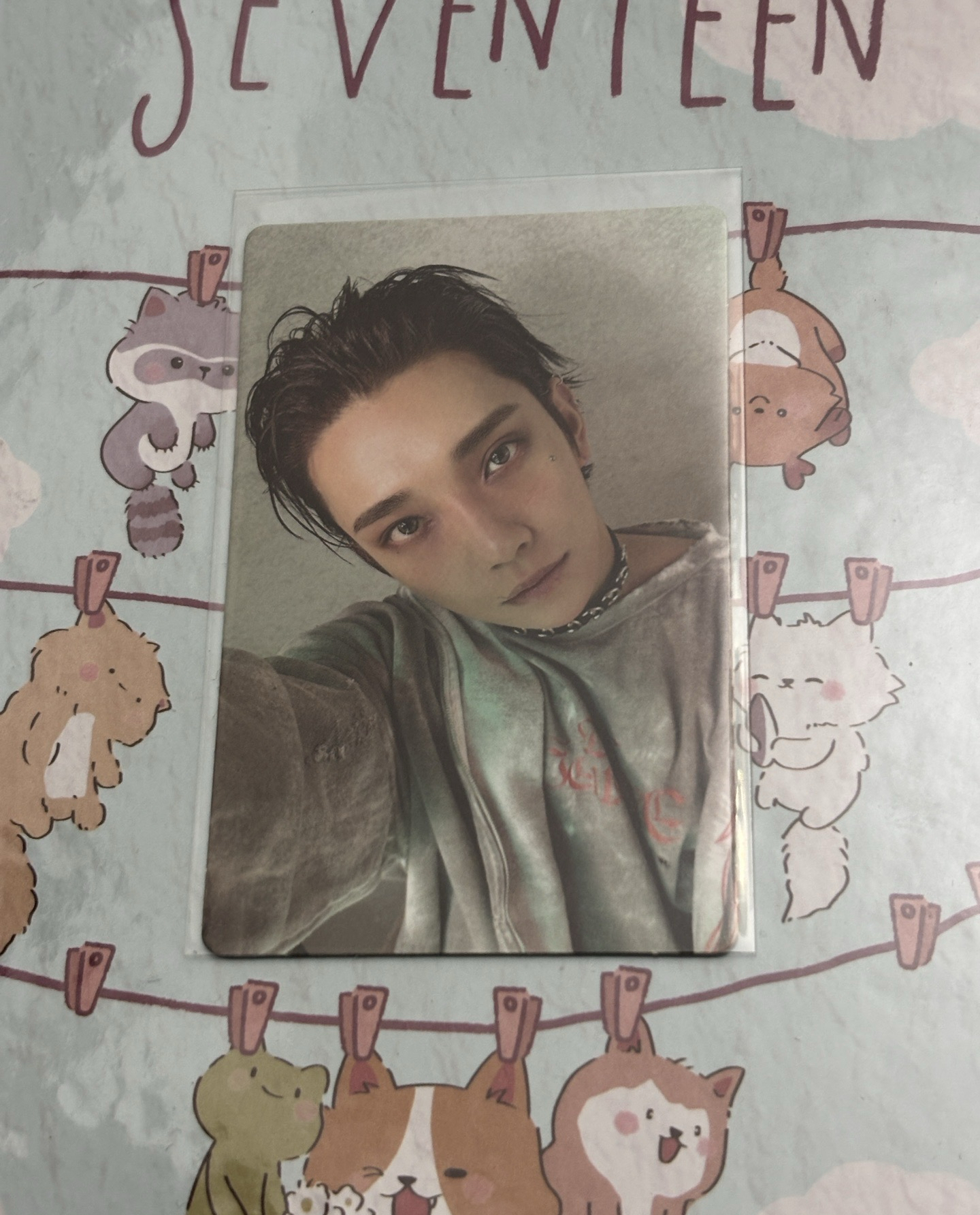 正五 new burstday ver.專卡 秀