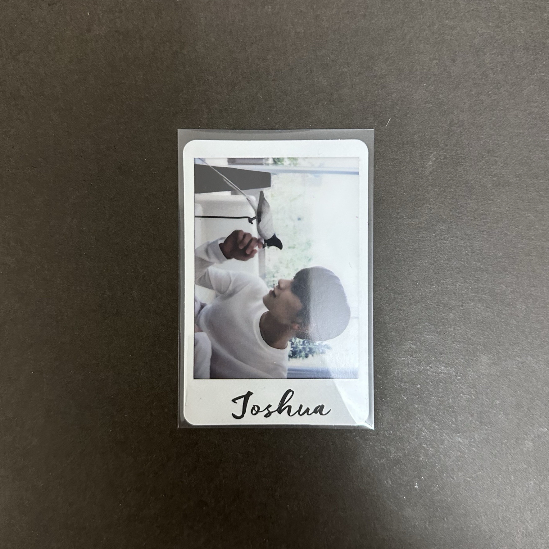 洪知秀Joshua AL1 小卡