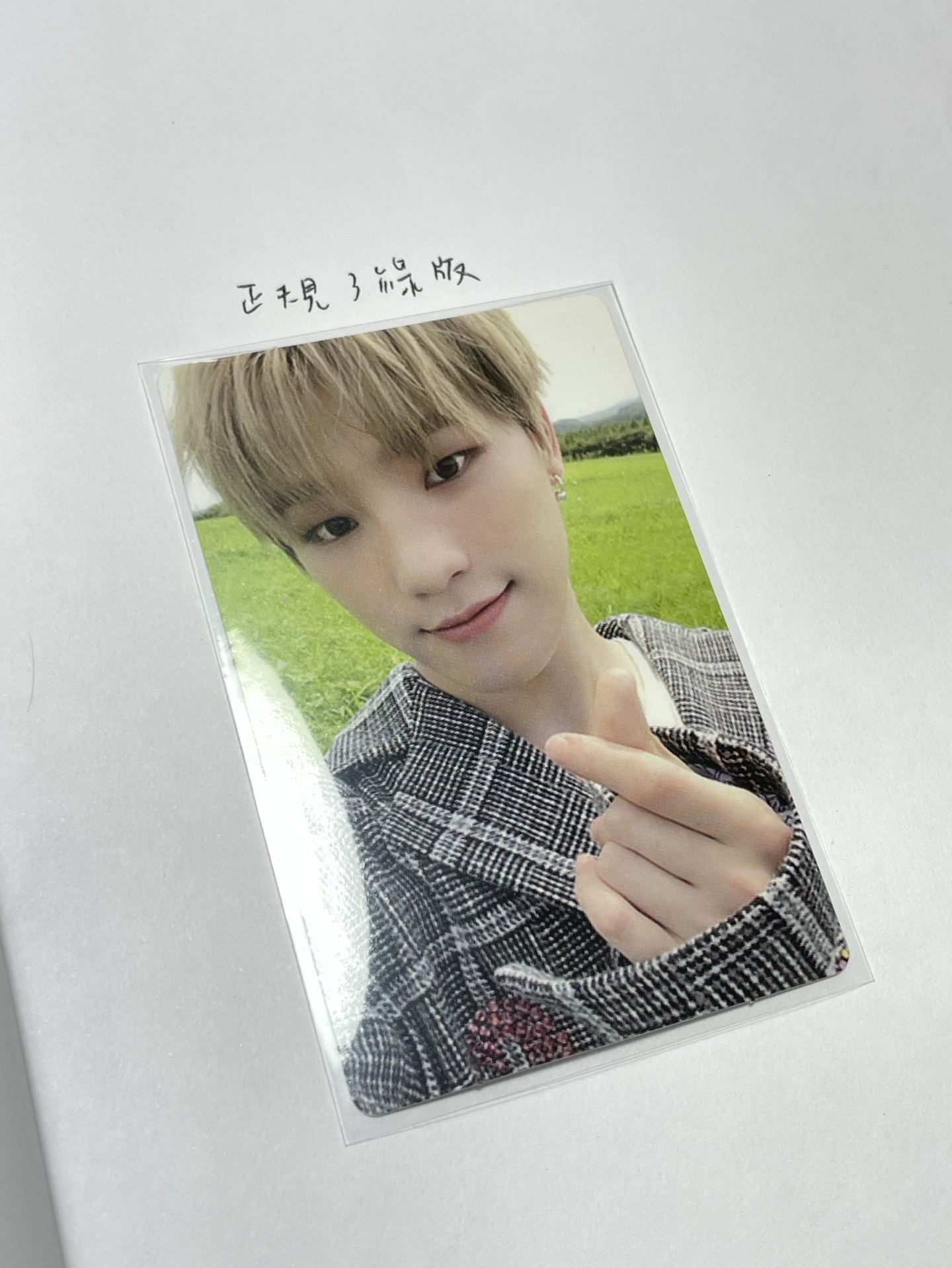 李燦正規三綠版