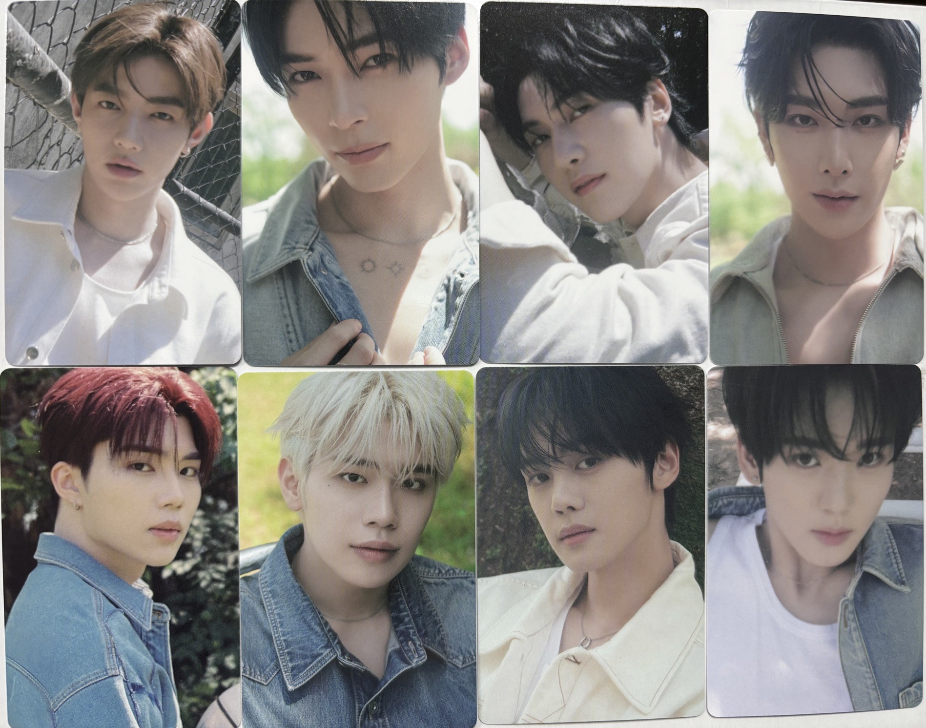 ZB1 正規一 香膏專固卡（缺雄）