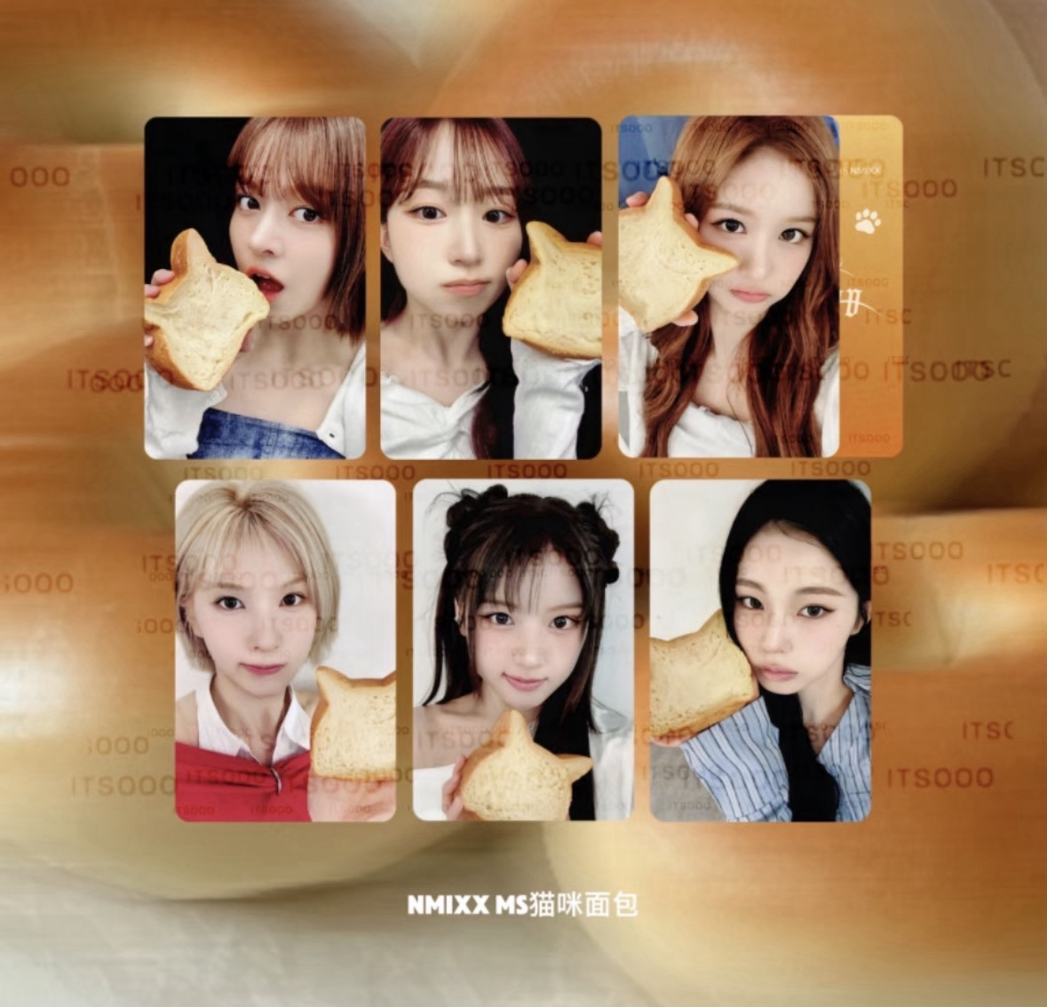 NMIXX Fe3O4 forward ms簽售特典貓咪麵包一套 