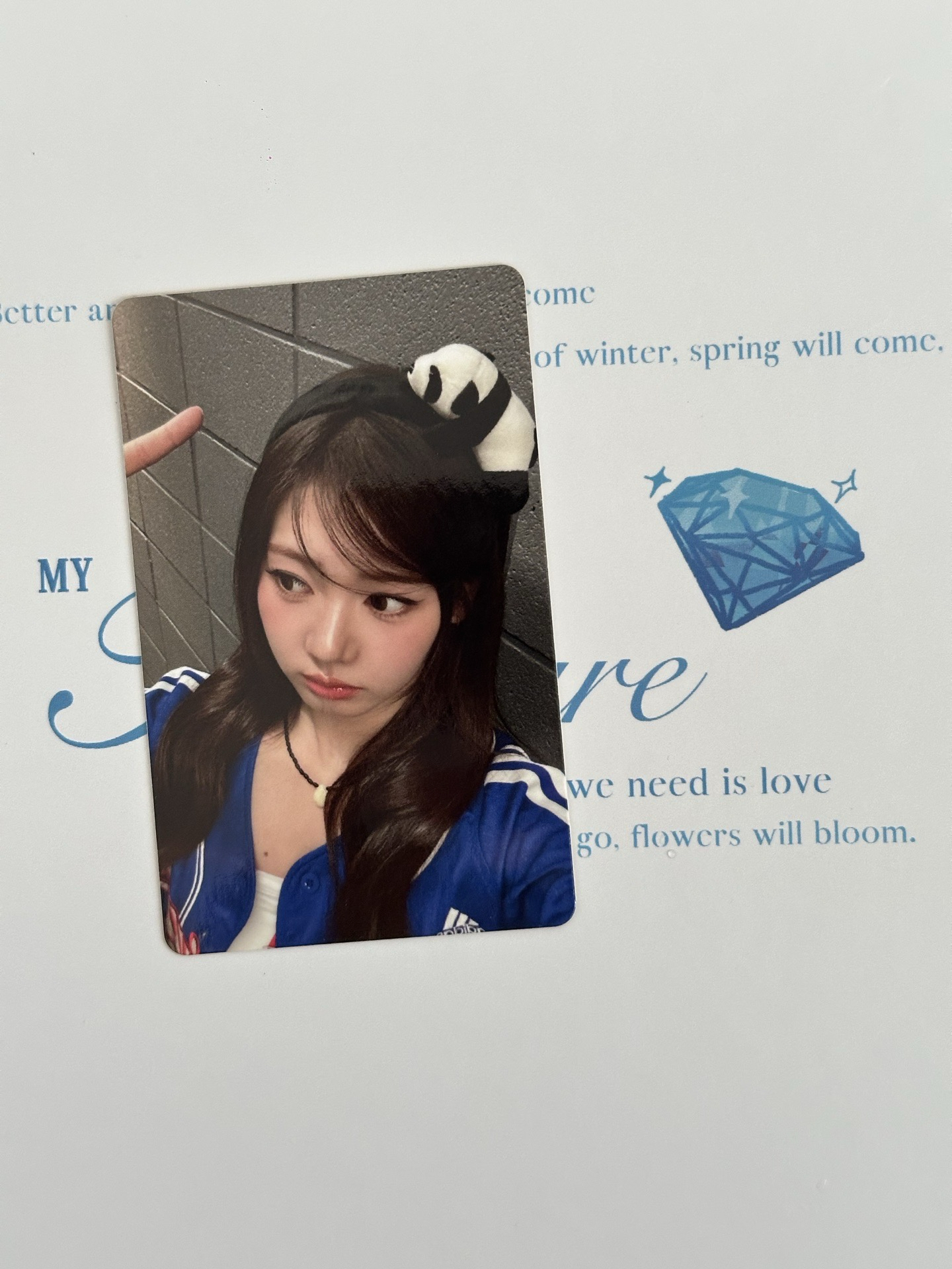 現貨 熊貓699滿額卡 