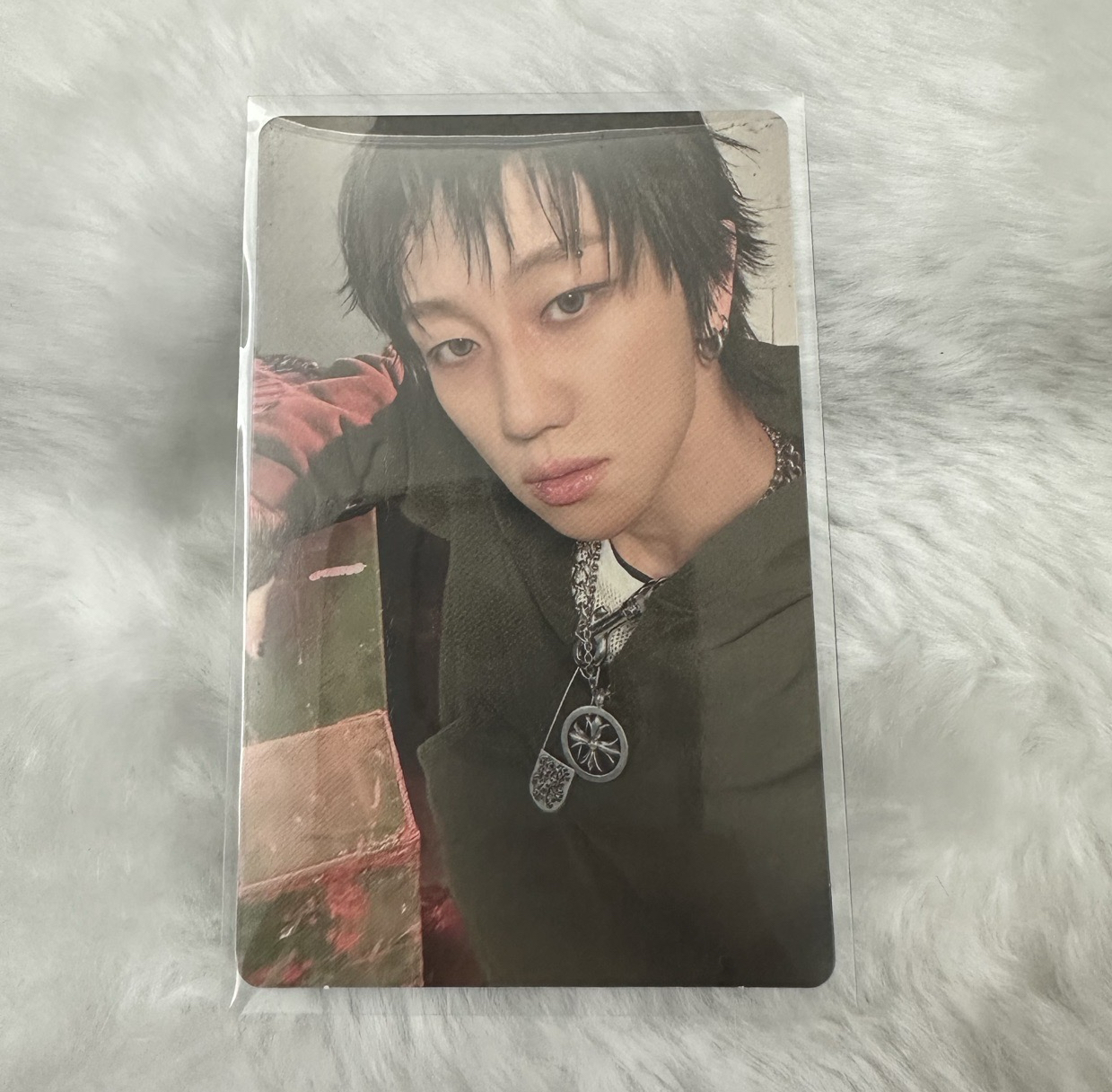 SEVENTEEN正五專卡