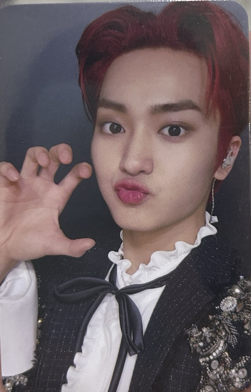 華麗的五星級酒店服務生