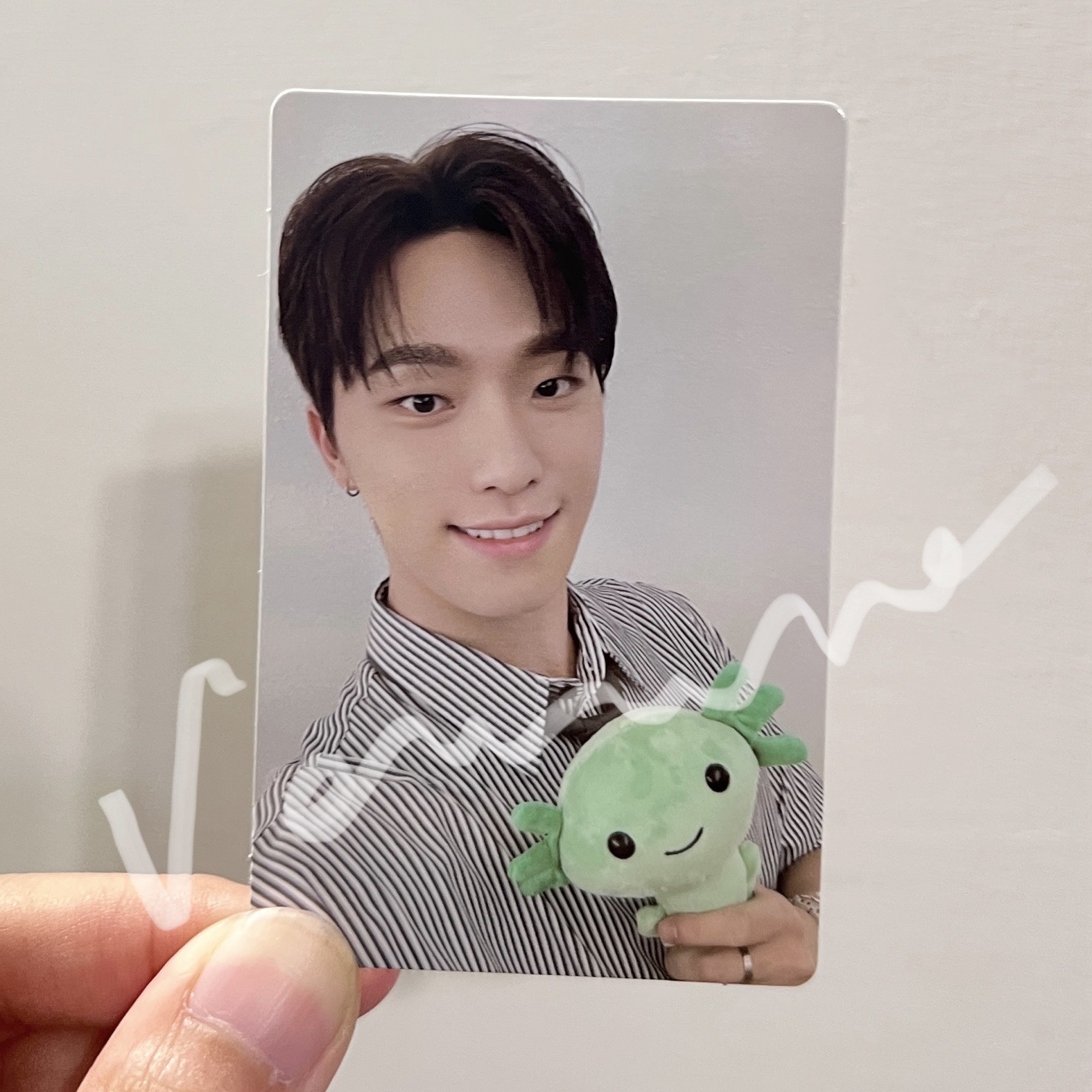 燦 墨西哥快閃店滿額卡 蠑螈卡 