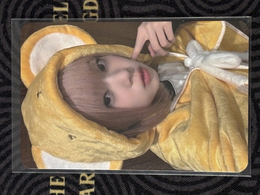 CURIOUS JP3.0 特典 小可Kotoko🦌