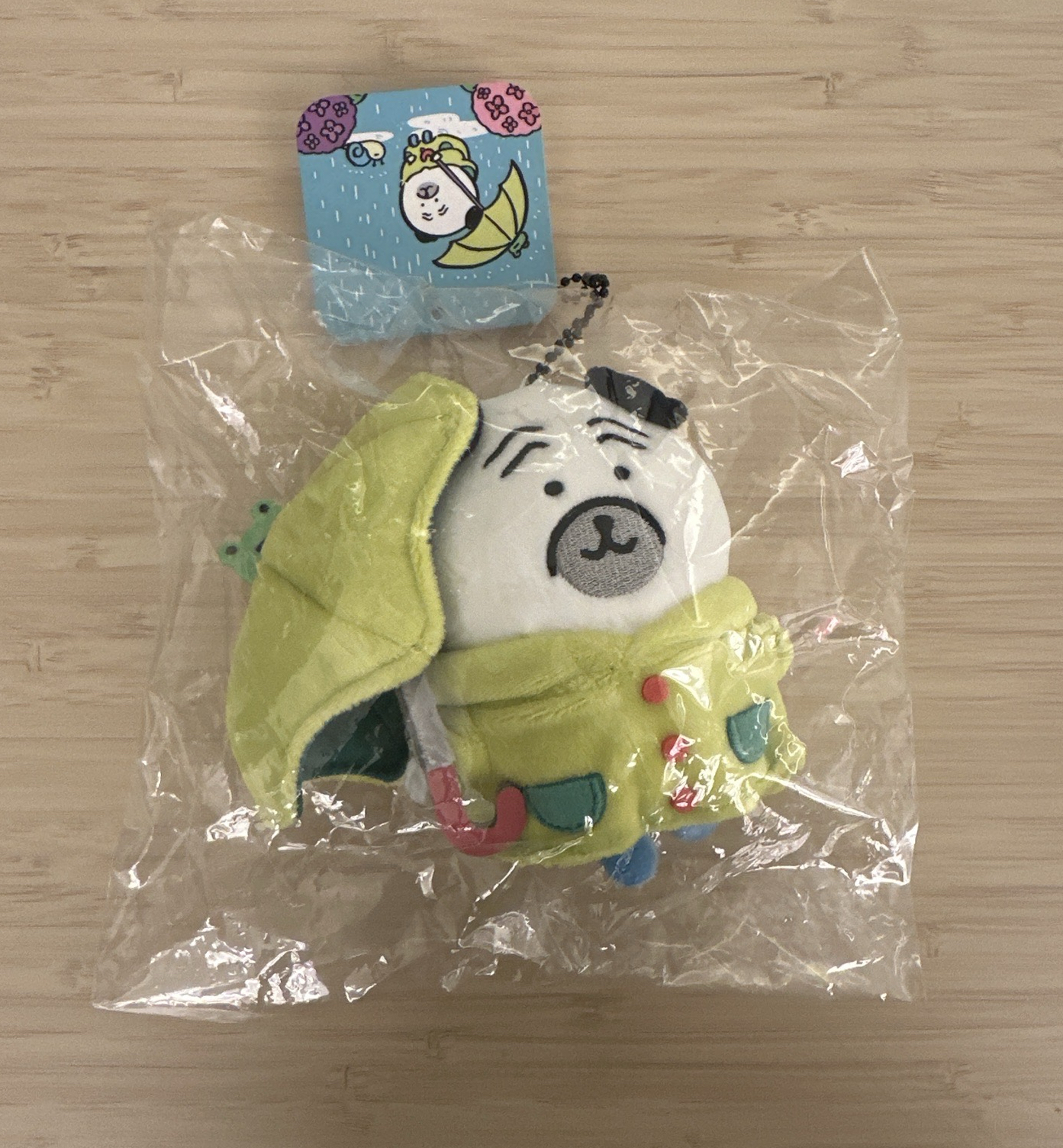 自嘲熊 雨衣八哥