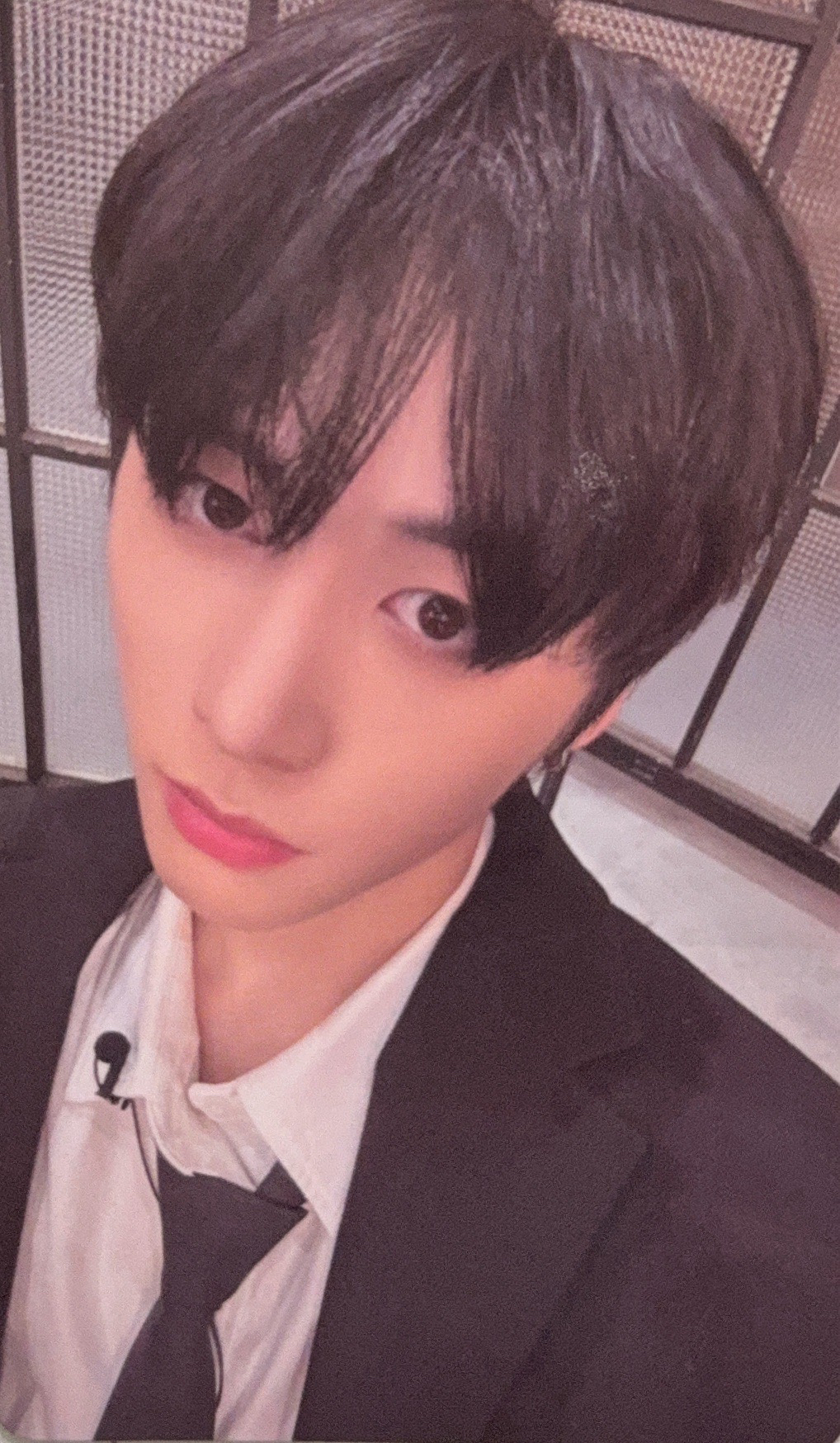 19.99 wvs 預售 特典卡 西裝 🐈‍⬛