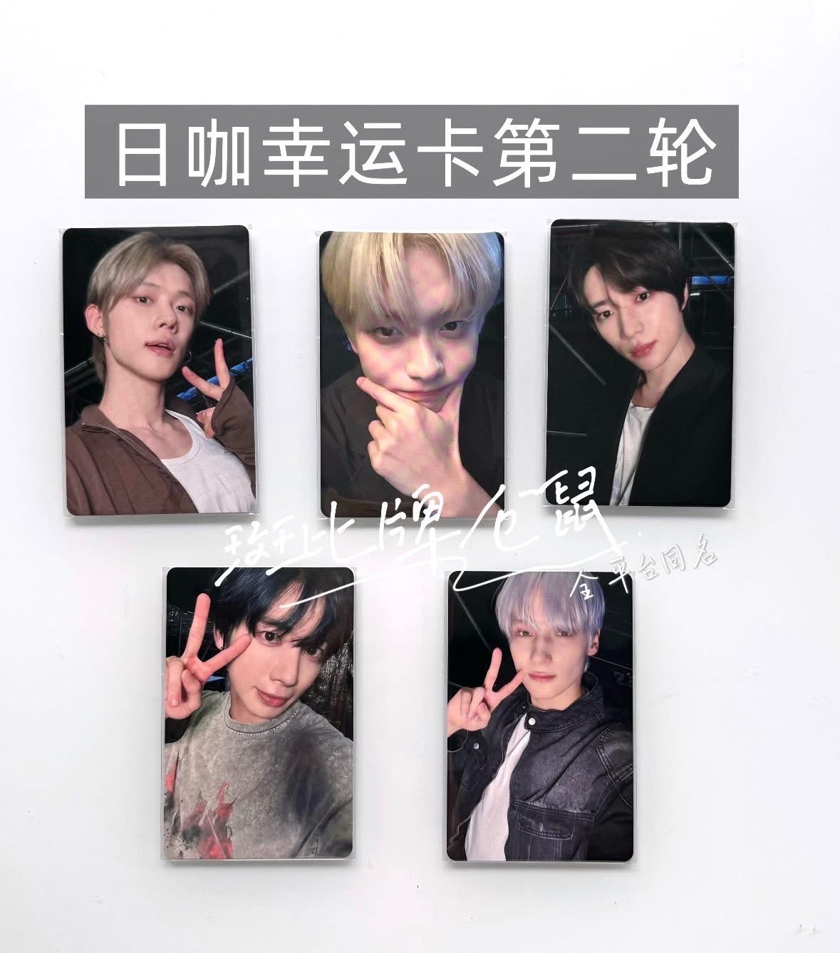 日咖單封圭（含專+特典+幸運卡）