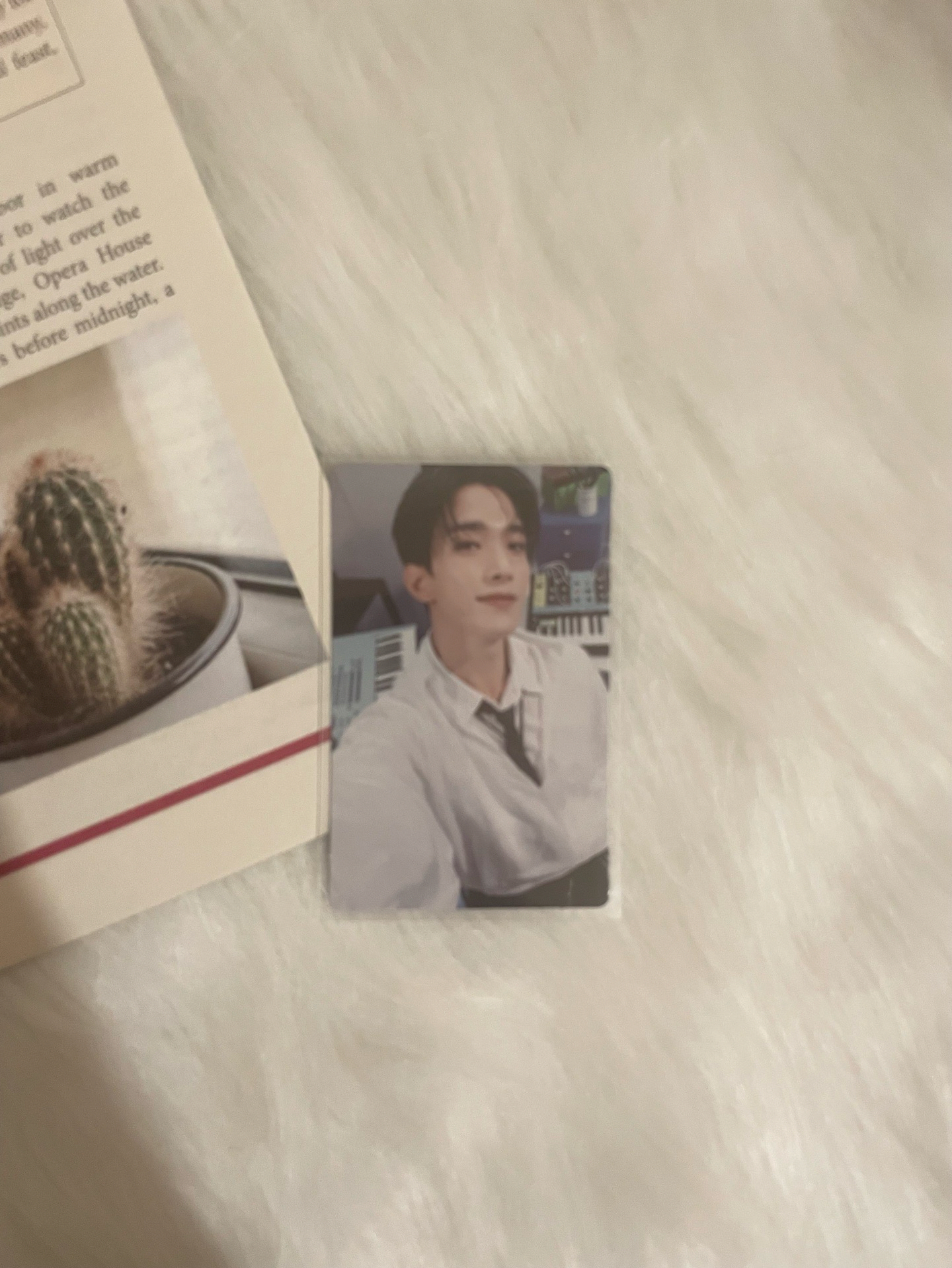 【SVT】精選專wvs特典卡 碩珉